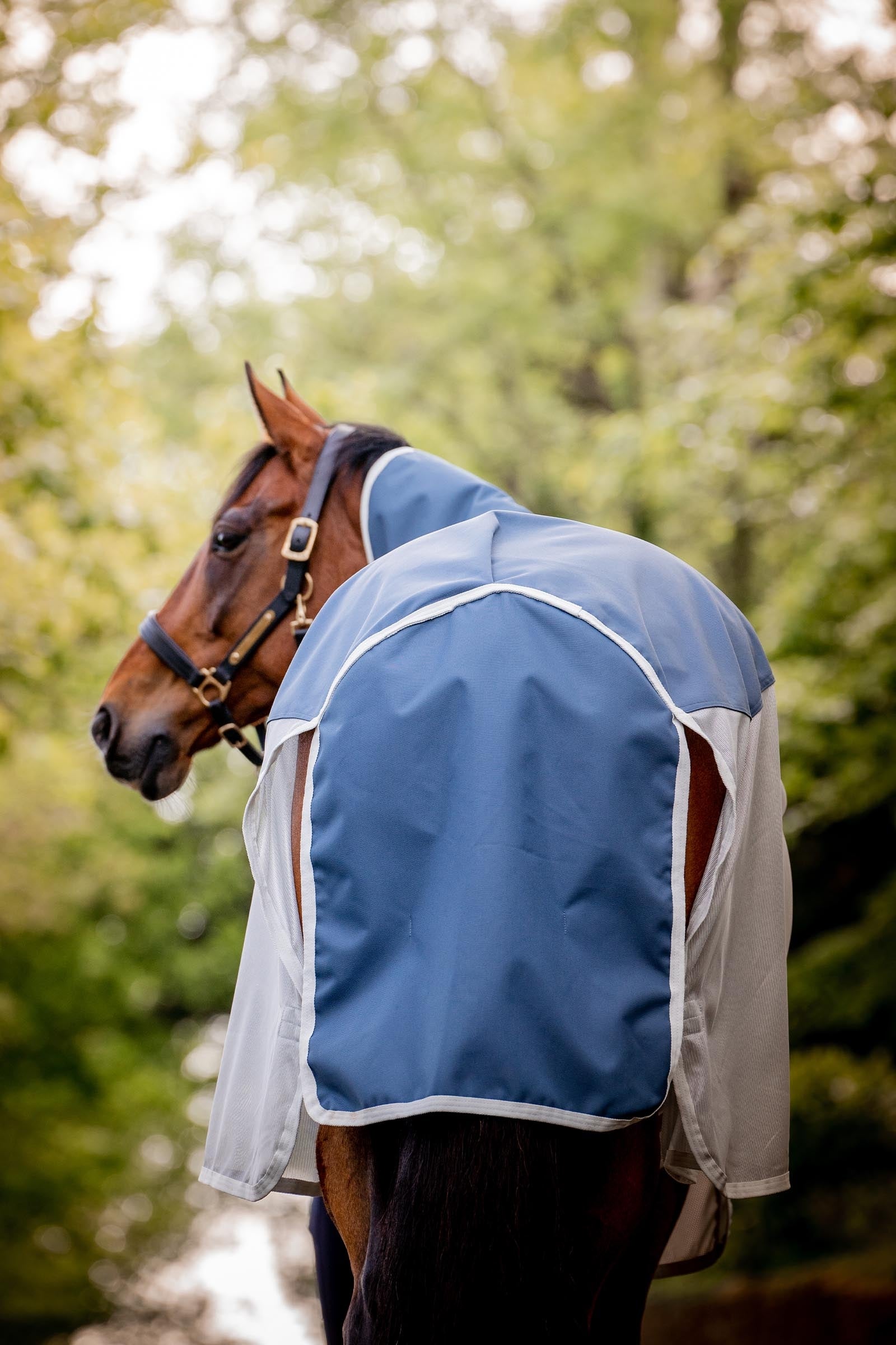 Horseware Amigo AmEco Combi Fly Rug Horse Rugs