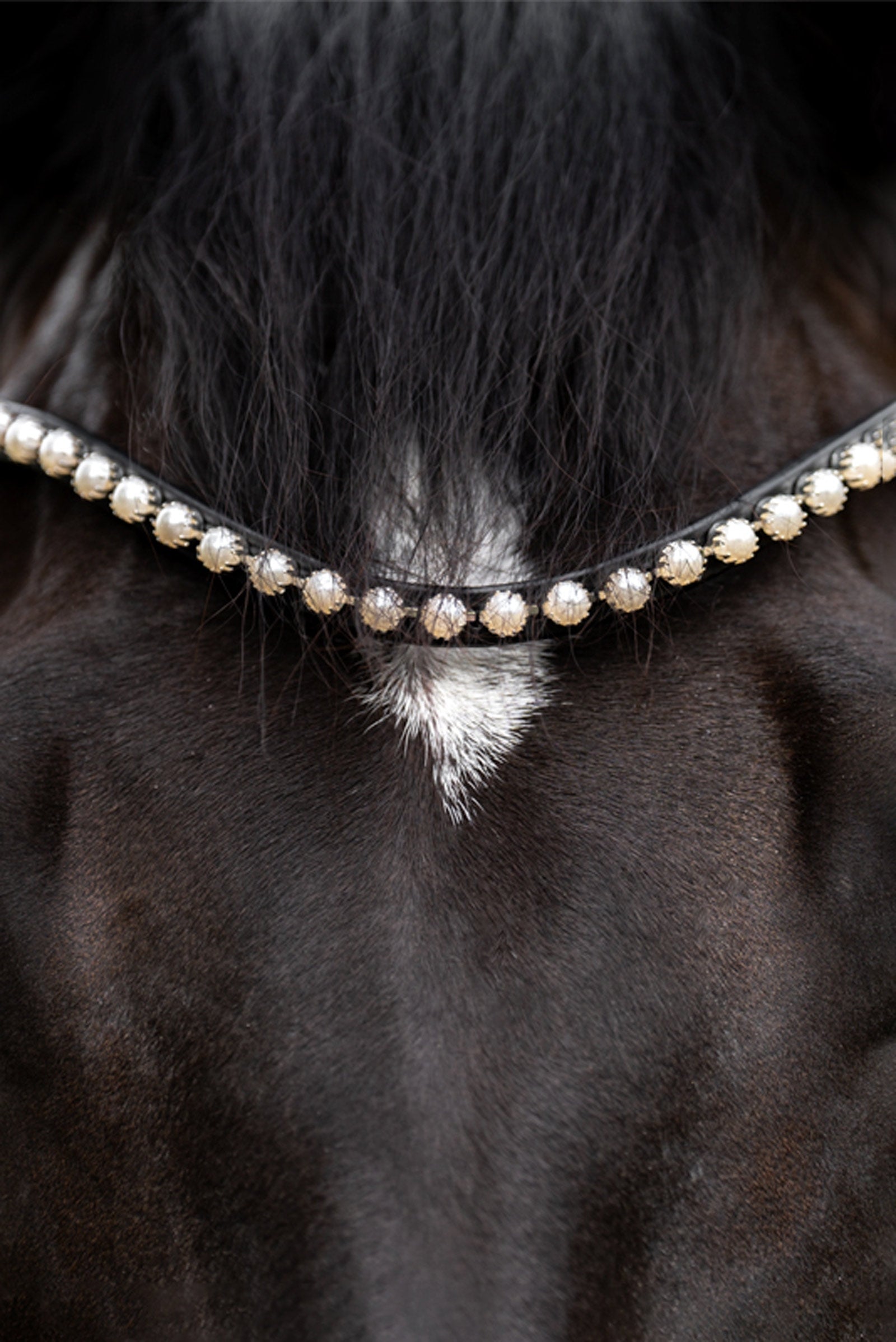 Kavalkade Pearl Browband Bridles & Reins