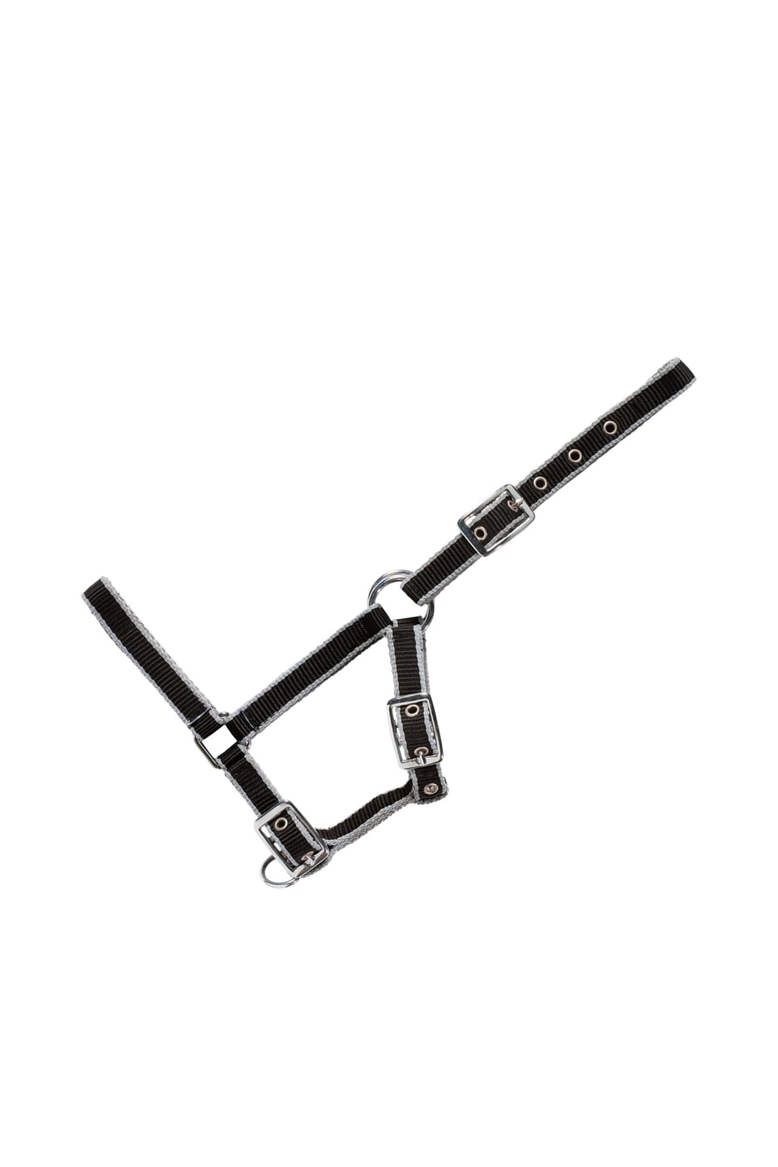 USG Adjustable Foal Halter Grimma & grimskaft