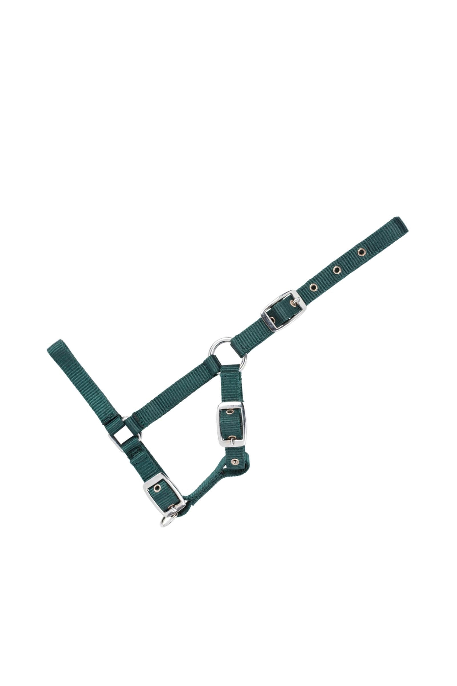 USG Adjustable Foal Halter Grimma & grimskaft