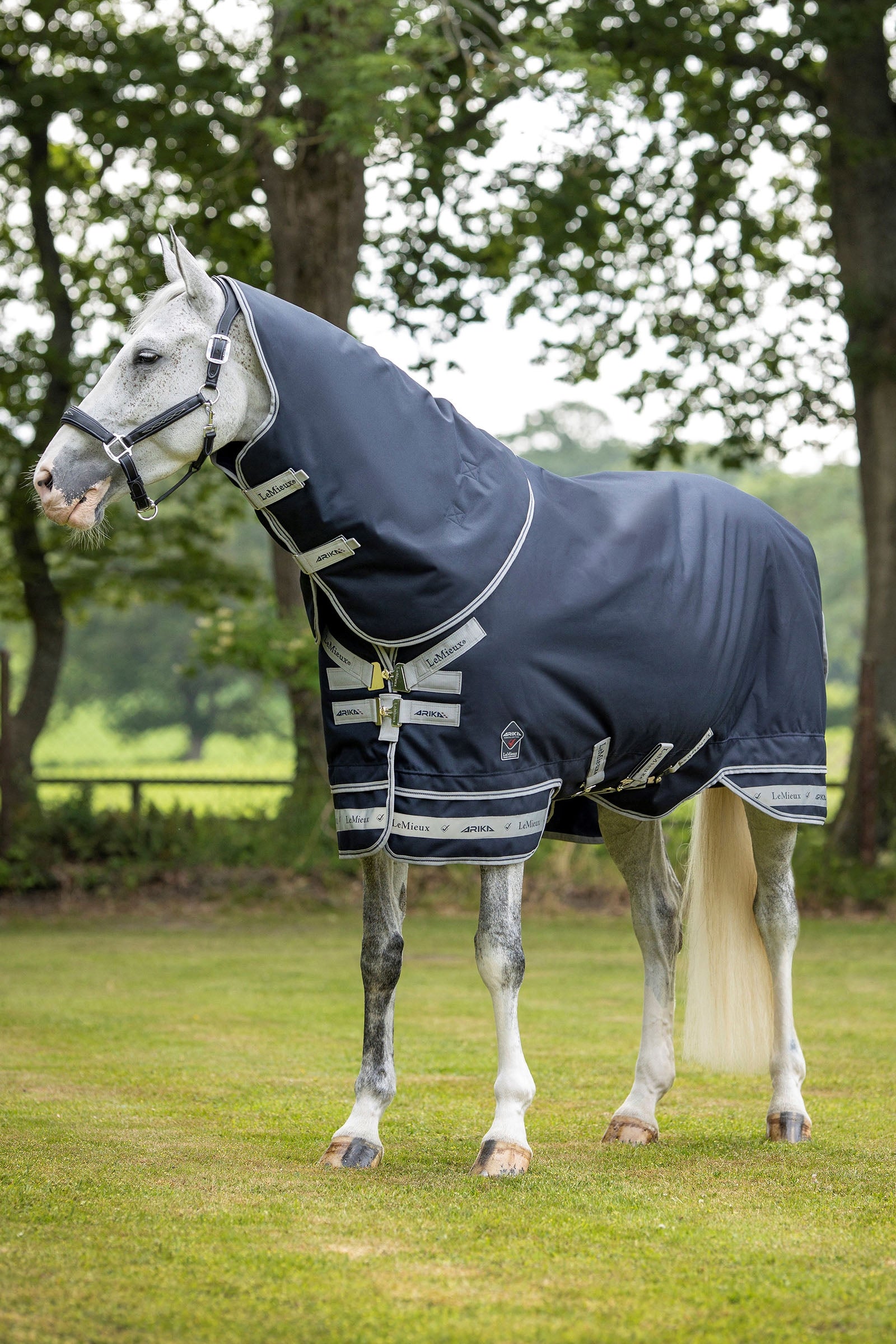 LeMieux Arika Featherweight Turnout Rug, 0 g Horse Rugs