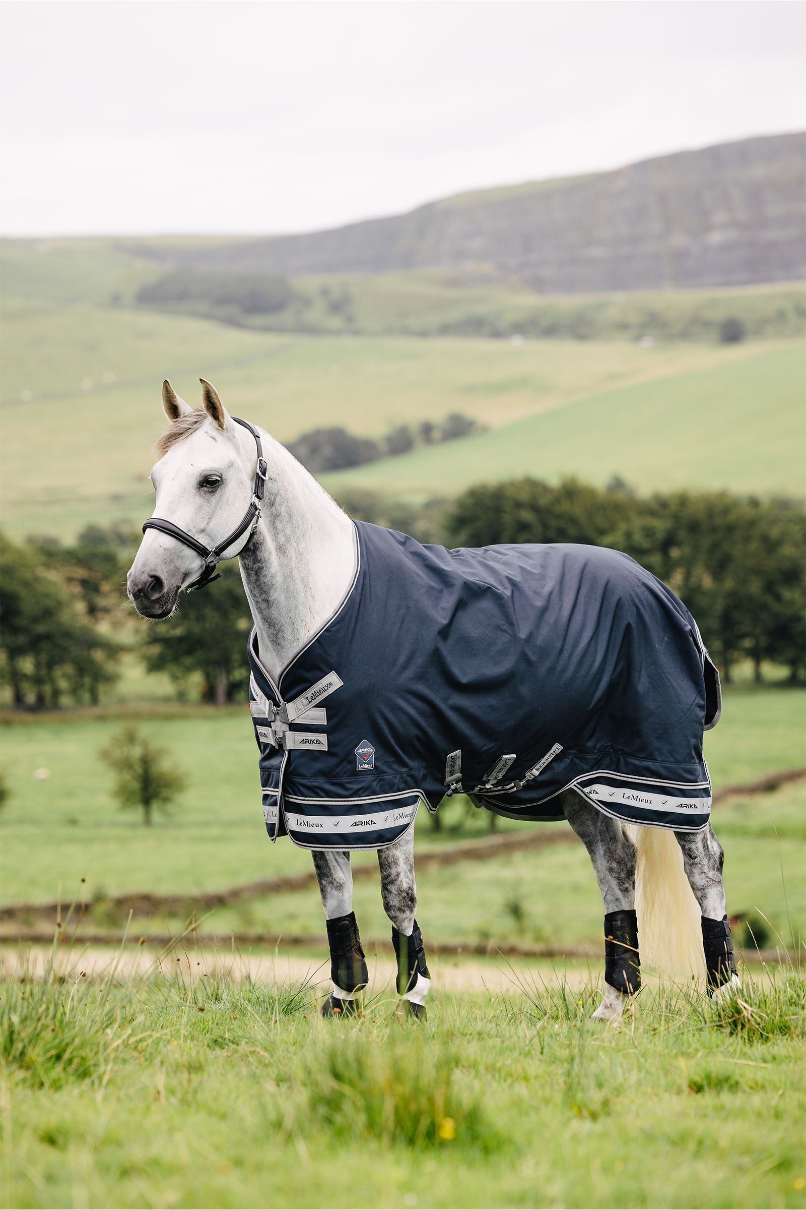 LeMieux Arika Featherweight Turnout Rug, 0 g Horse Rugs