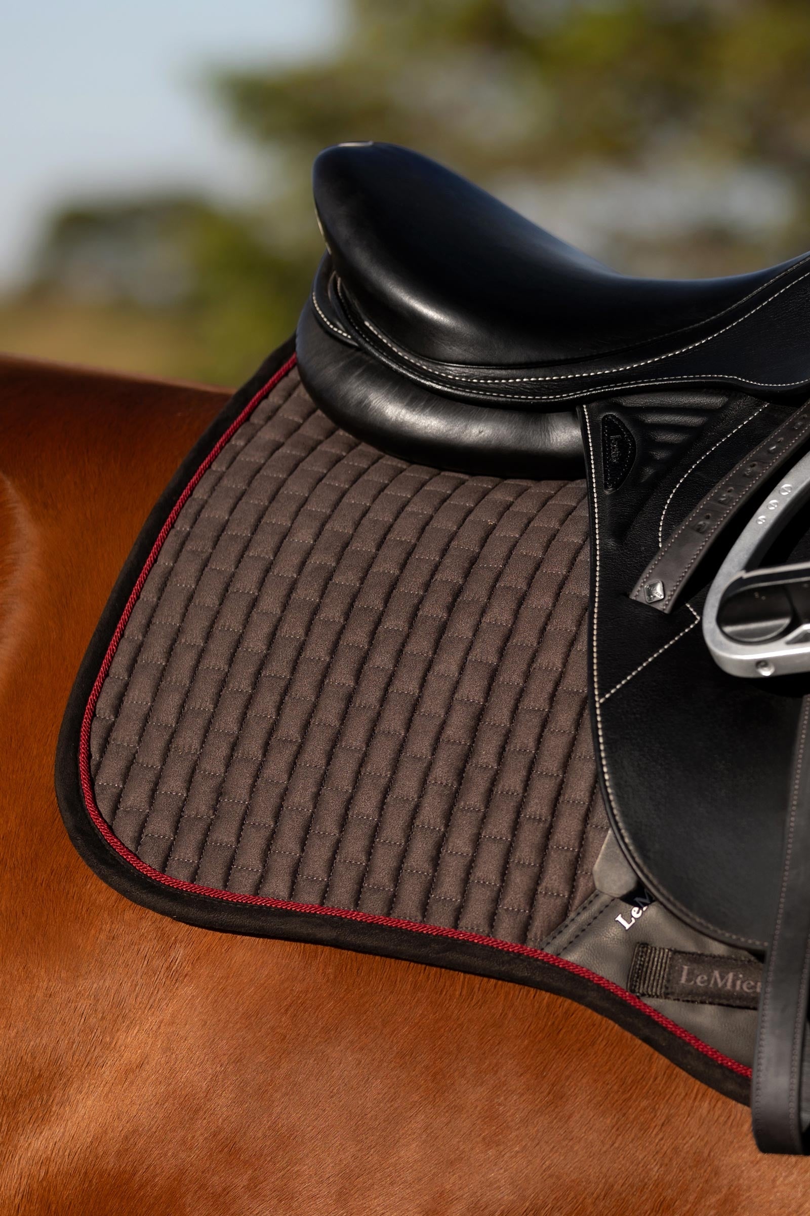 LeMieux Suede Square Close Contact Saddle Pad Saddle Pads