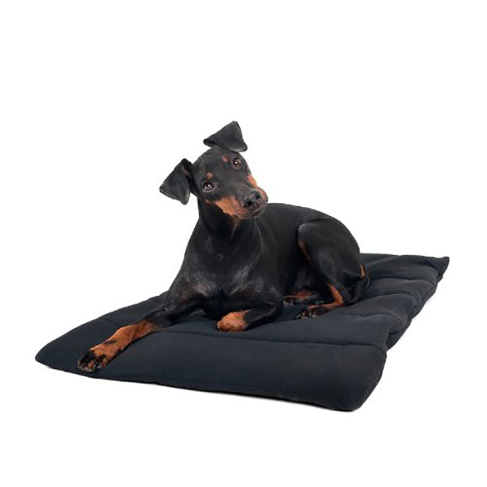 Back on Track hundtäcke Utrustning för hundar