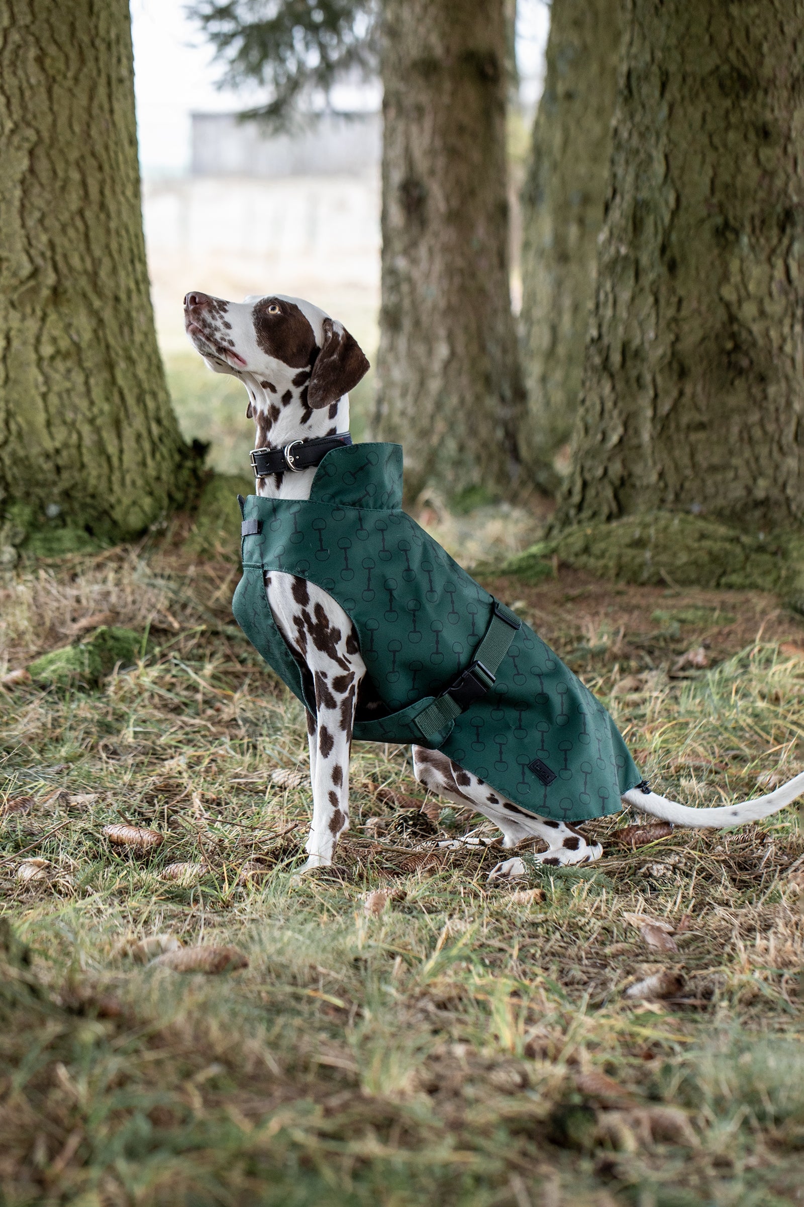 Horze Noir Dog Coat with Print Dog Accesories