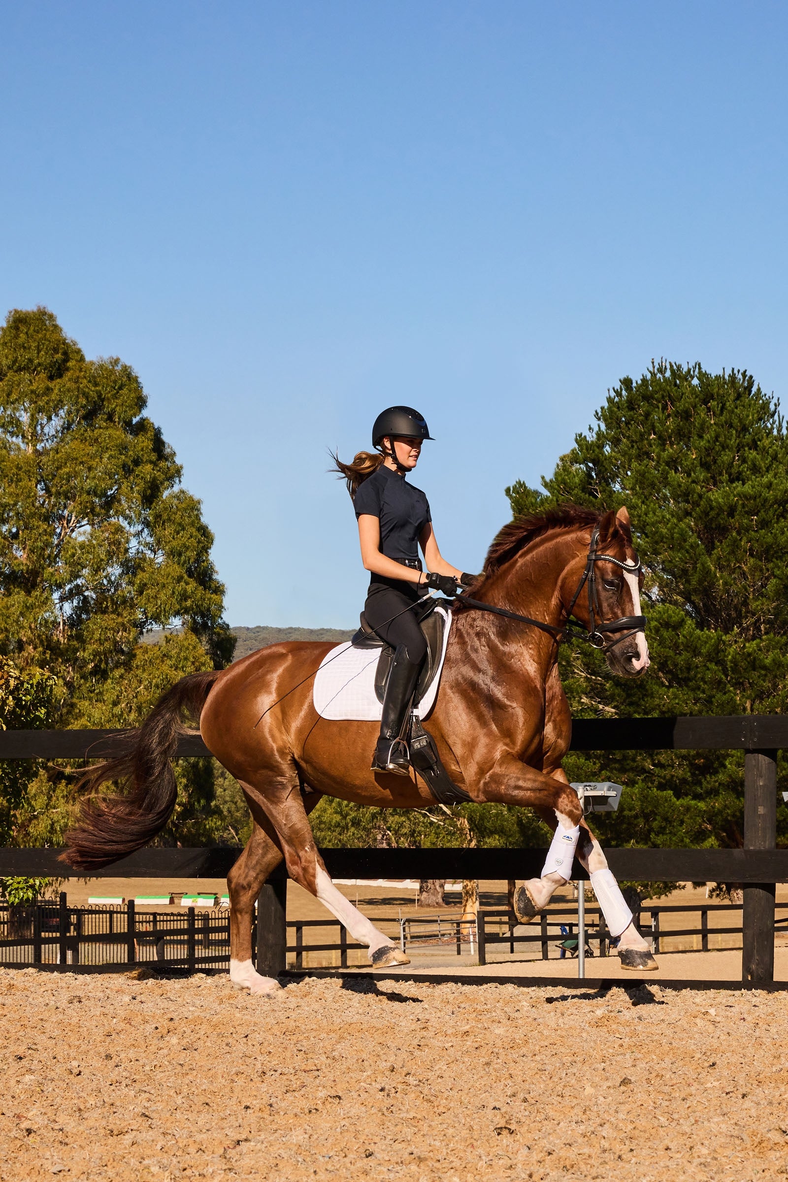 Weatherbeeta Tough-Tec Prime Brushing Boots Leg Protection & Hoof Protection for Horses