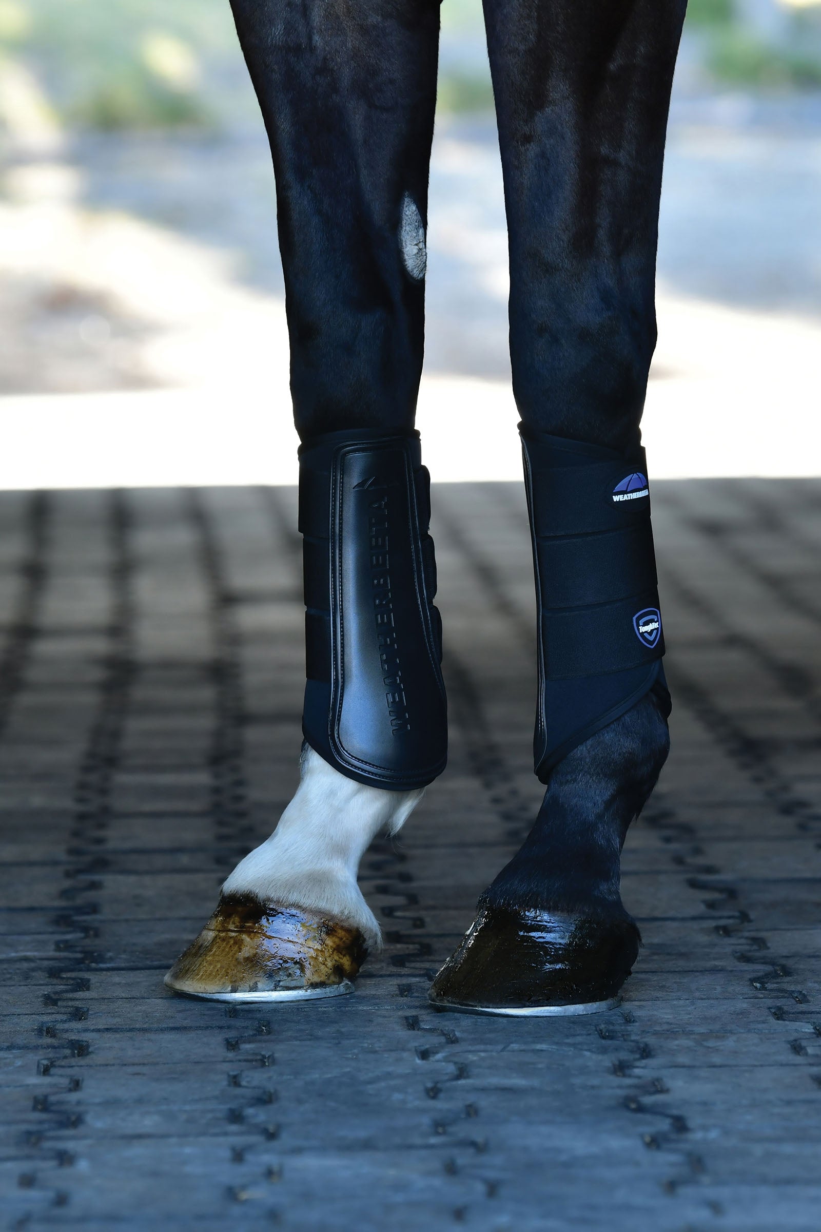 Weatherbeeta Tough-Tec Prime Brushing Boots Leg & Hoof Protection