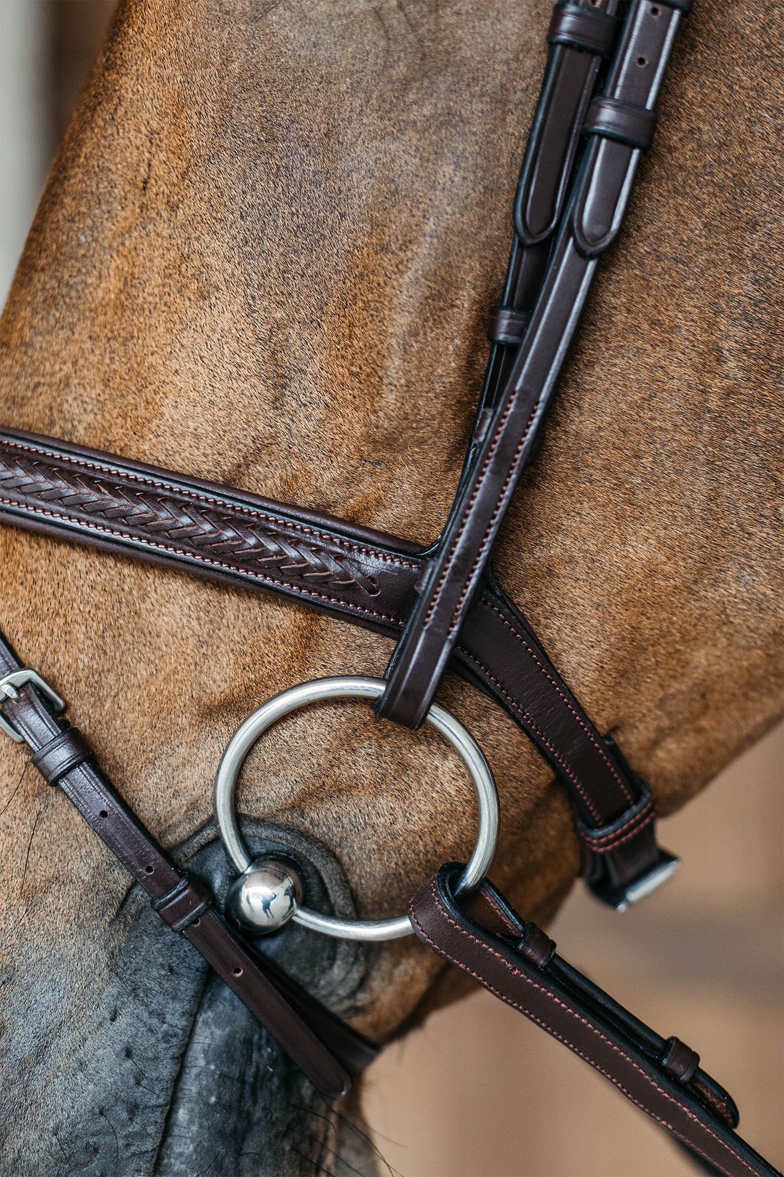 Dy'on New English Plaited Bridle With Flash Noseband Bridles & Reins