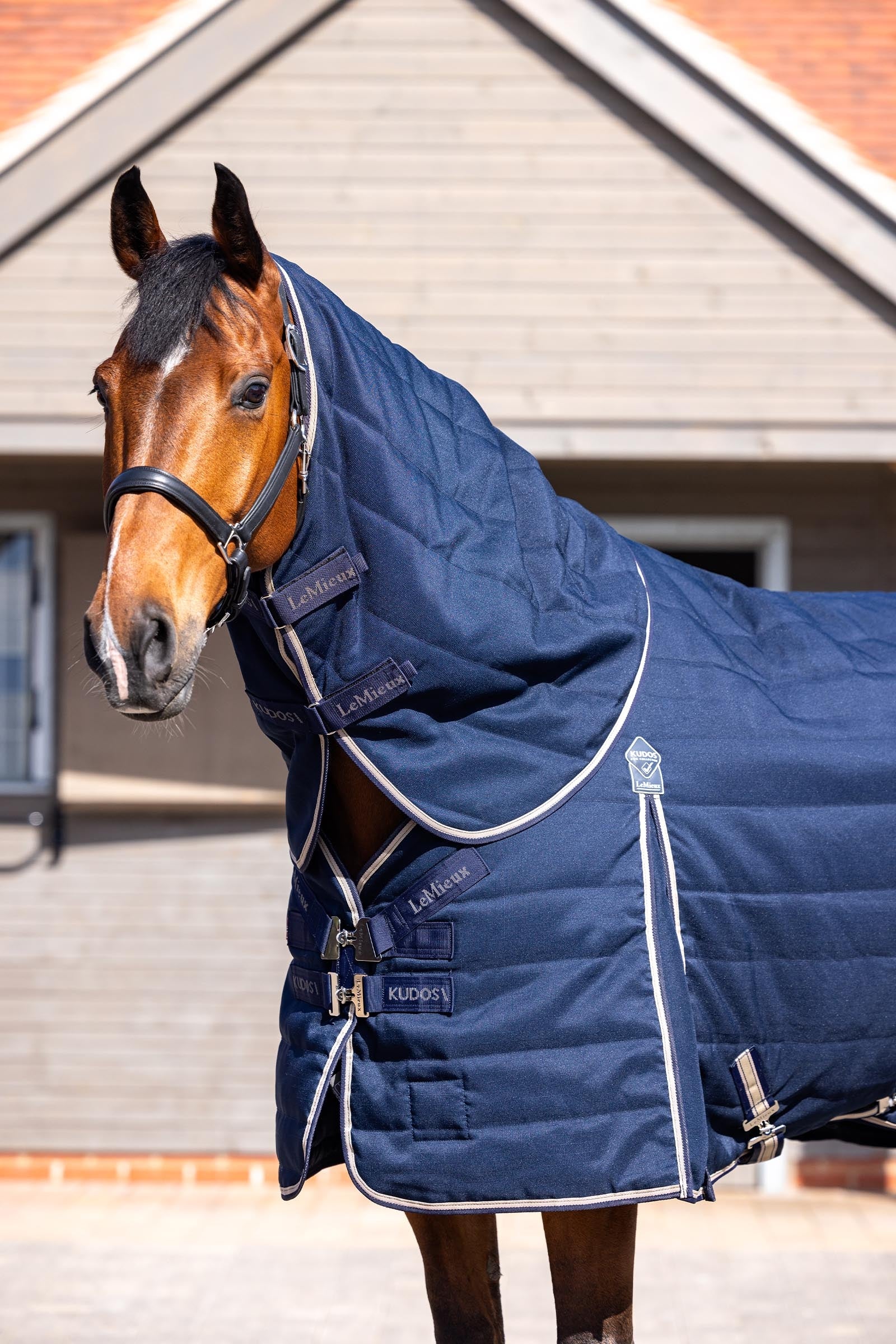 LeMieux Kudos Stable Rug, 200 g Horse Rugs