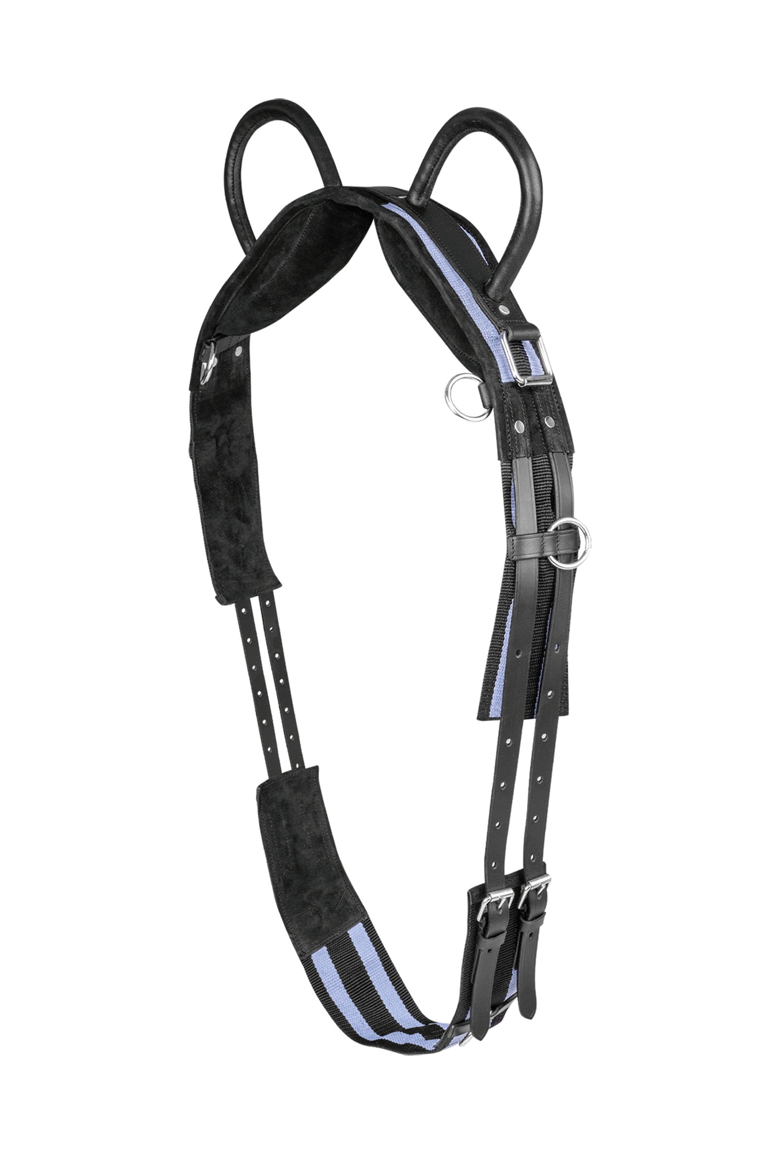 Waldhausen Longergjord med två handtag Sadlar & gjordar