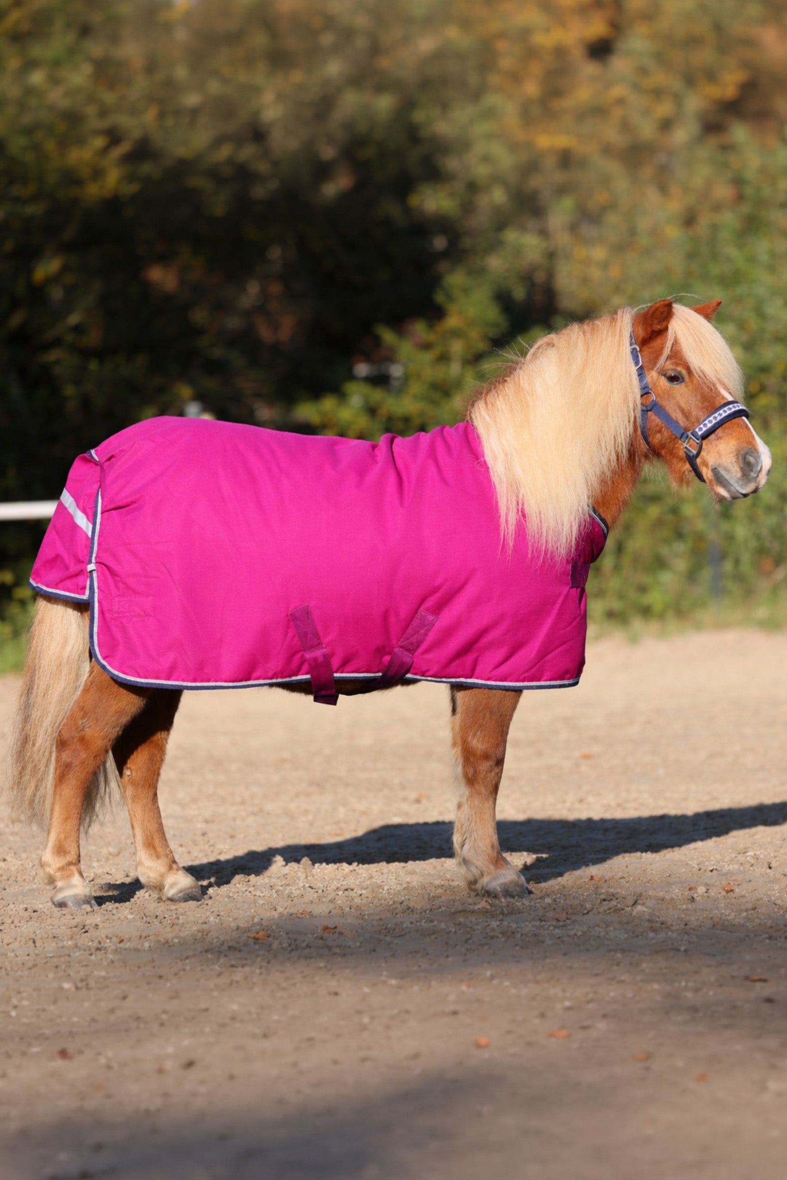 Kavalkade Shetty Turnout Rug, 100g Horse Rugs