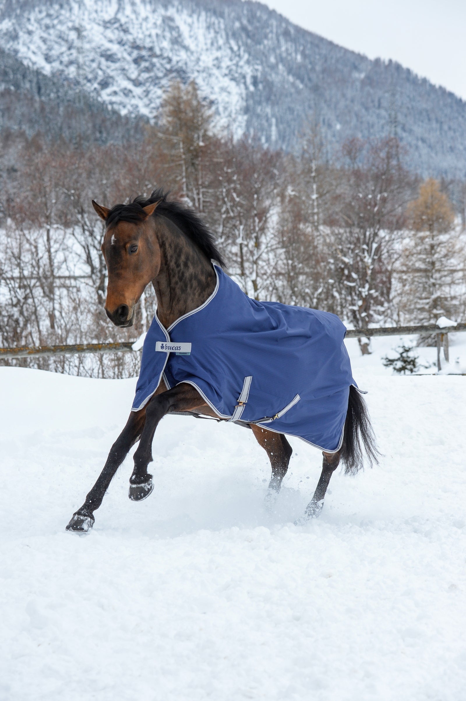 Bucas Freedom Turnout Rug, 300g Horse Rugs