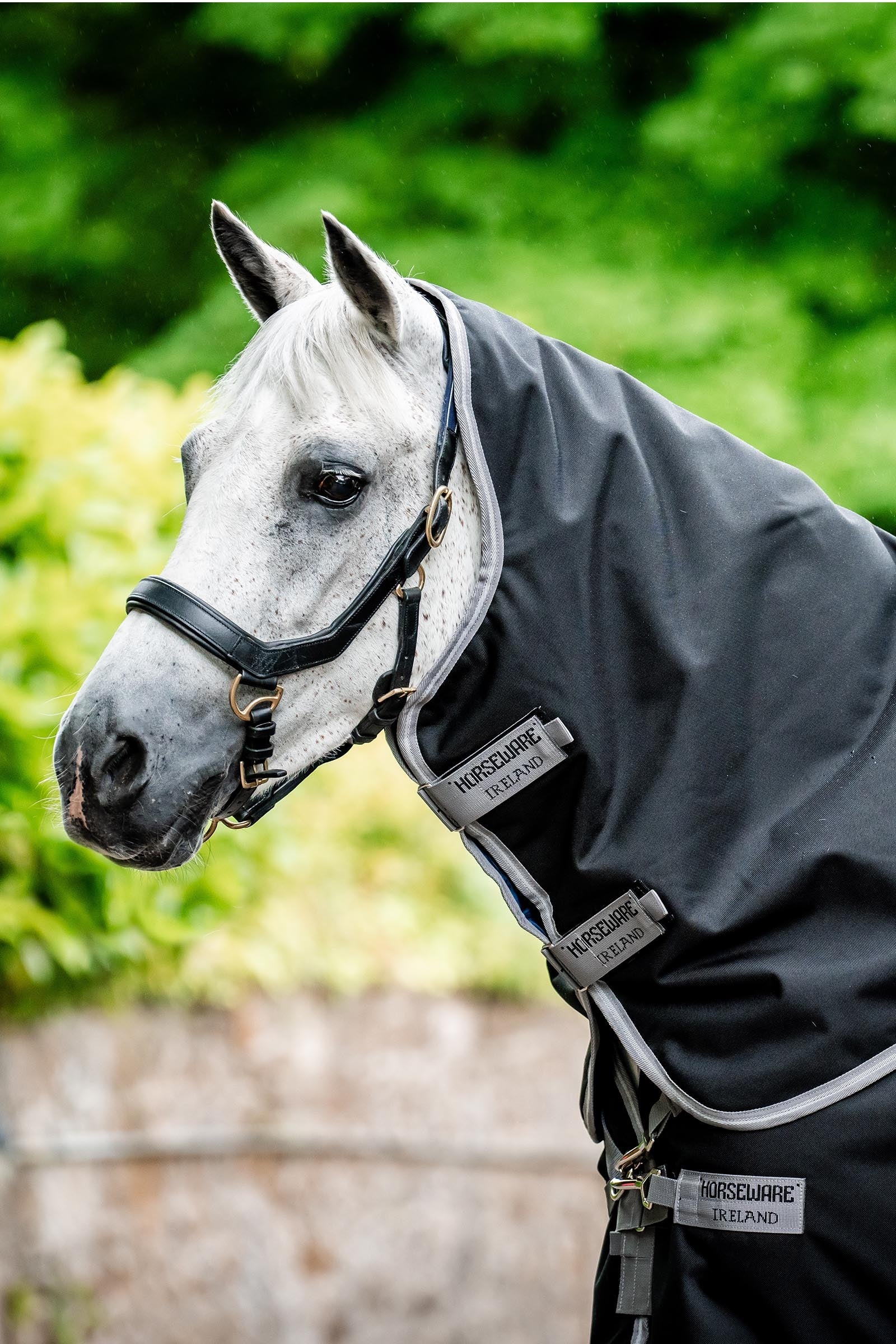 Horseware Amigo Bravo 12 Hood 0g Horse Rugs