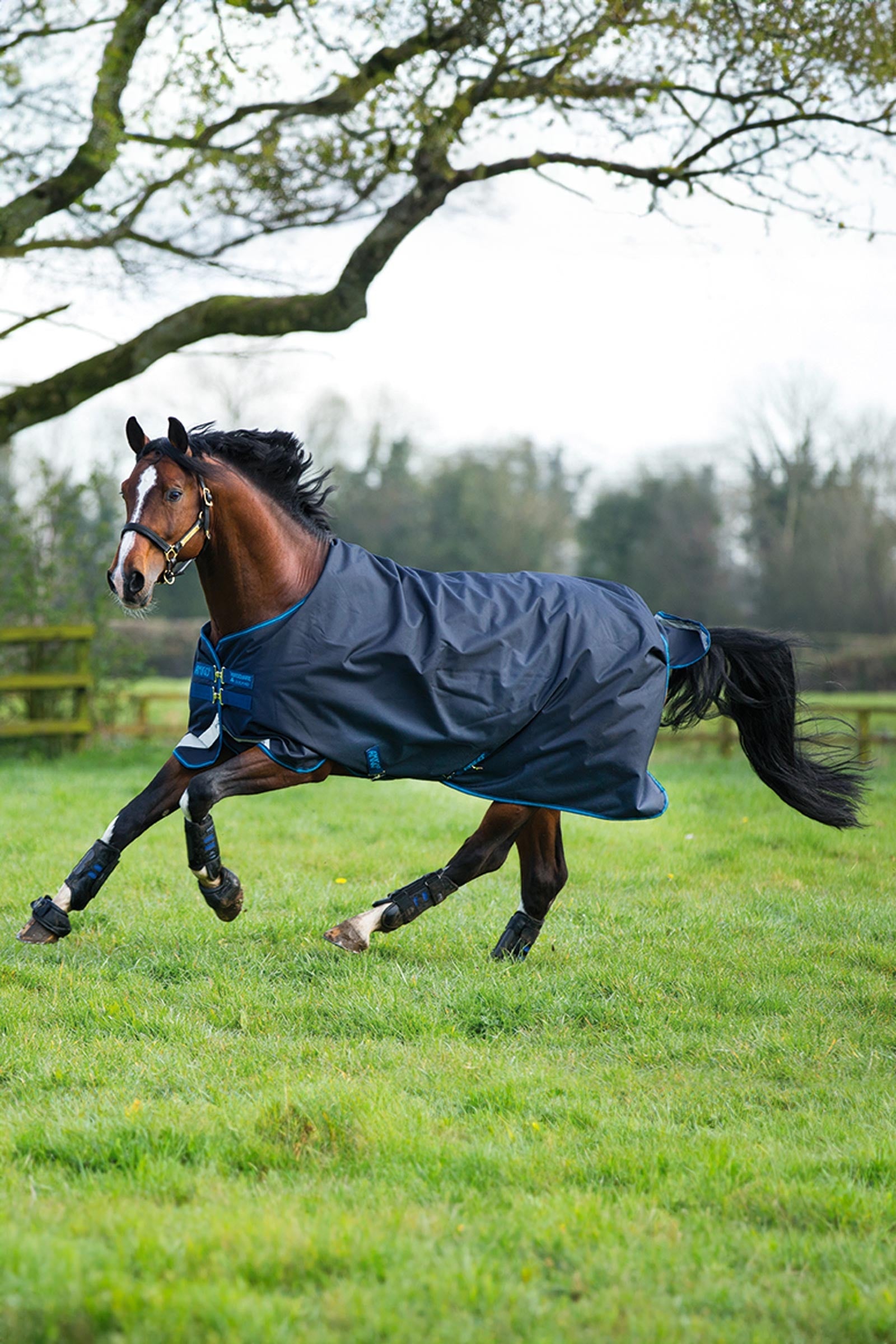 Horseware Amigo Bravo 12 Turnout Rug, 100g Horse Rugs