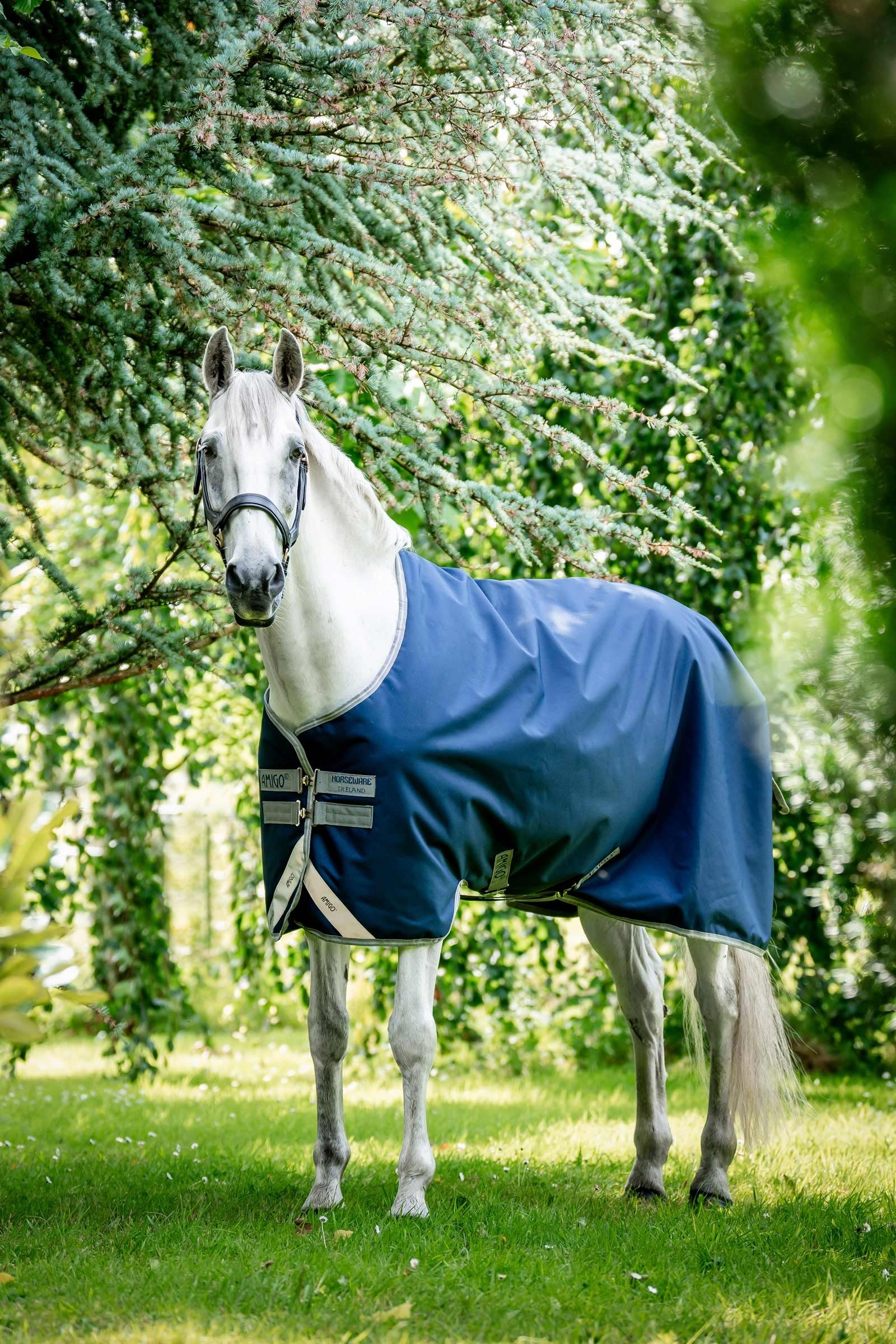 Horseware Amigo Bravo 12 Turnout Rug, 100g Horse Rugs