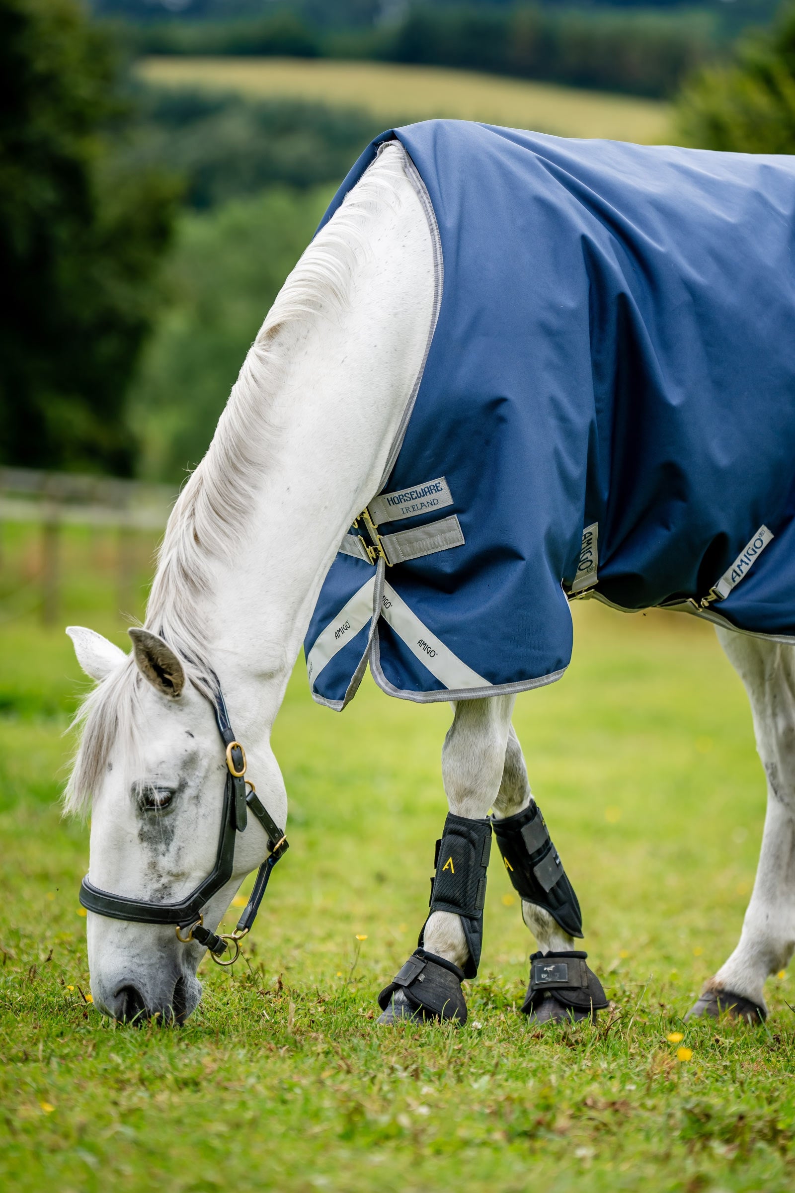 Horseware Amigo Bravo 12 Turnout Rug, 100g Horse Rugs