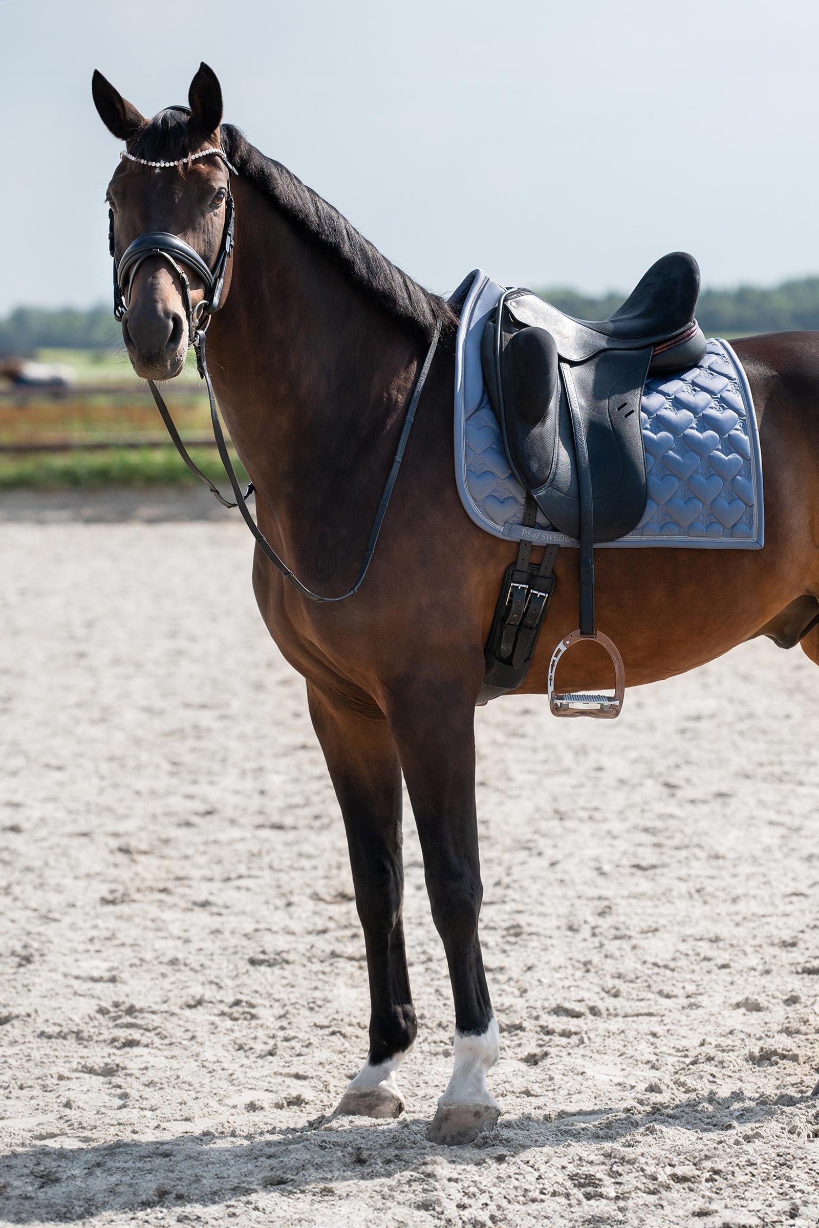PS of Sweden Heart Dressage Saddle Pad Saddle Pads