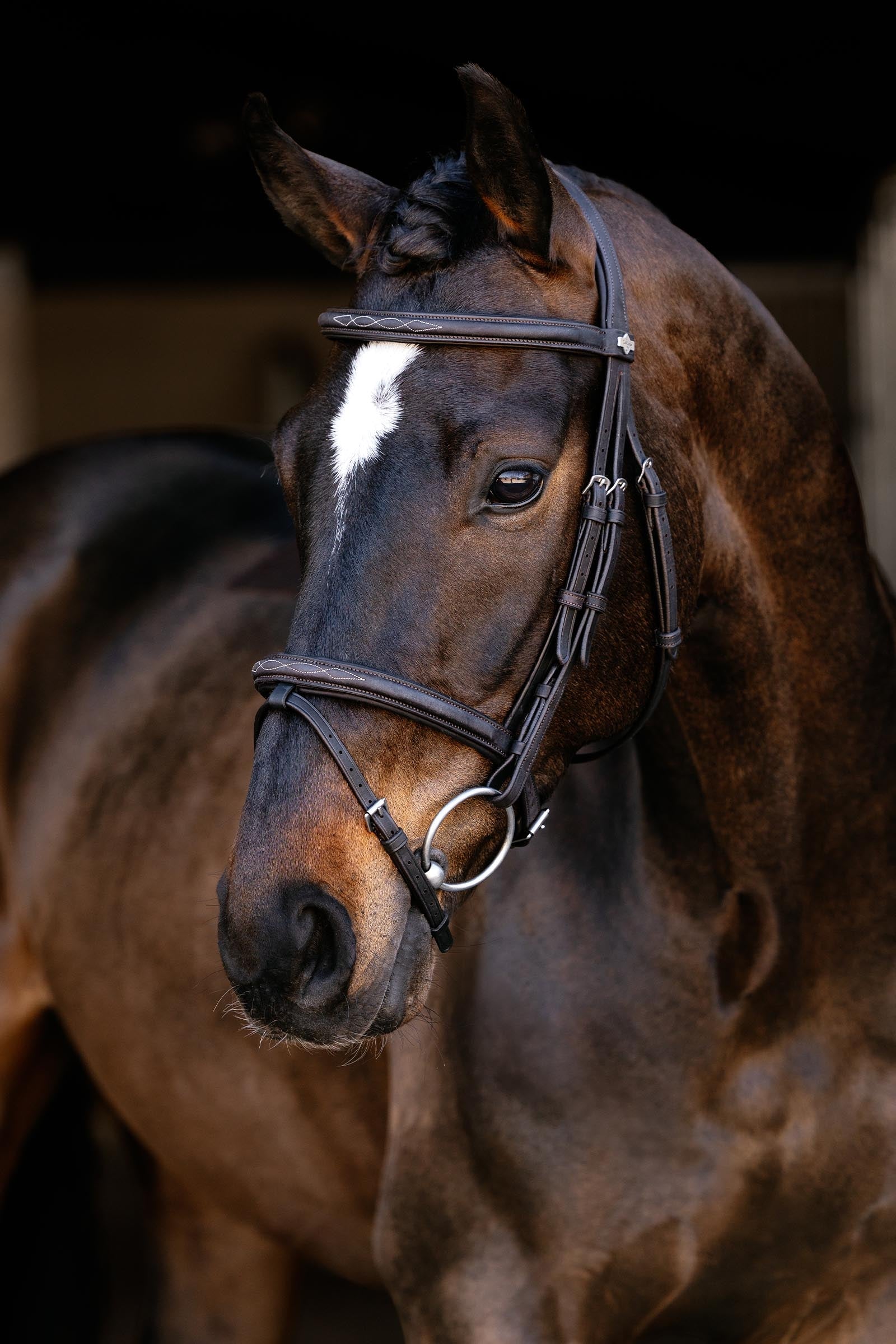 LeMieux Classique Flash Bridle Bridles & Reins