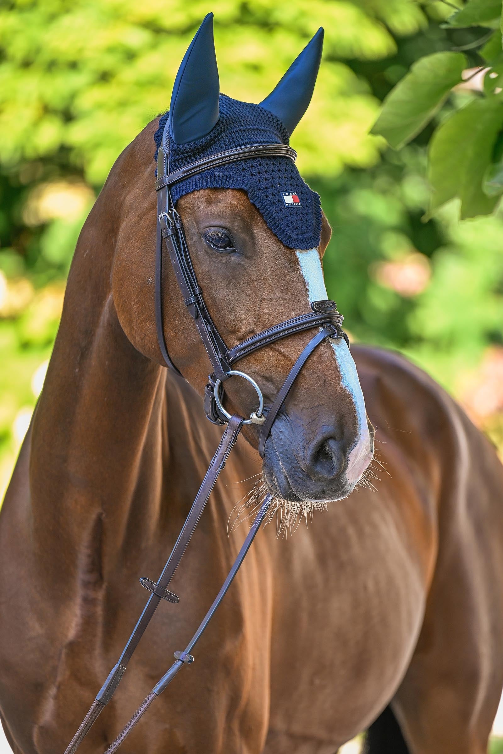 Tommy Hilfiger Equestrian Lexington Soundless Fly Hood Saddle Pads