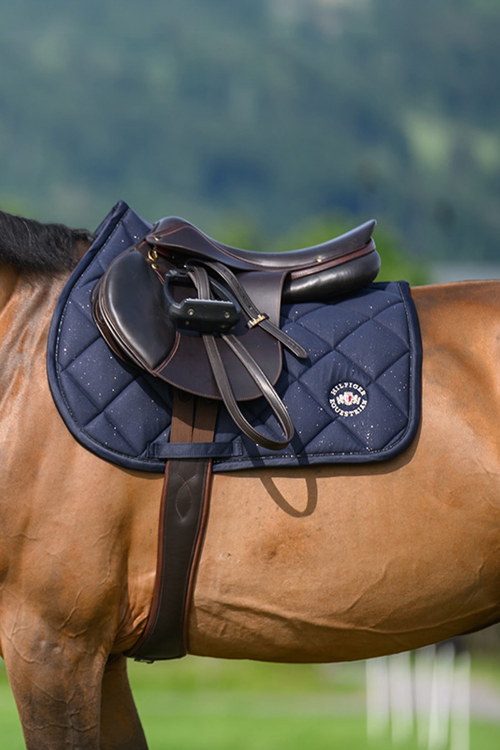 Tommy Hilfiger Equestrian Emory Jumping Saddle Pad Saddle Pads