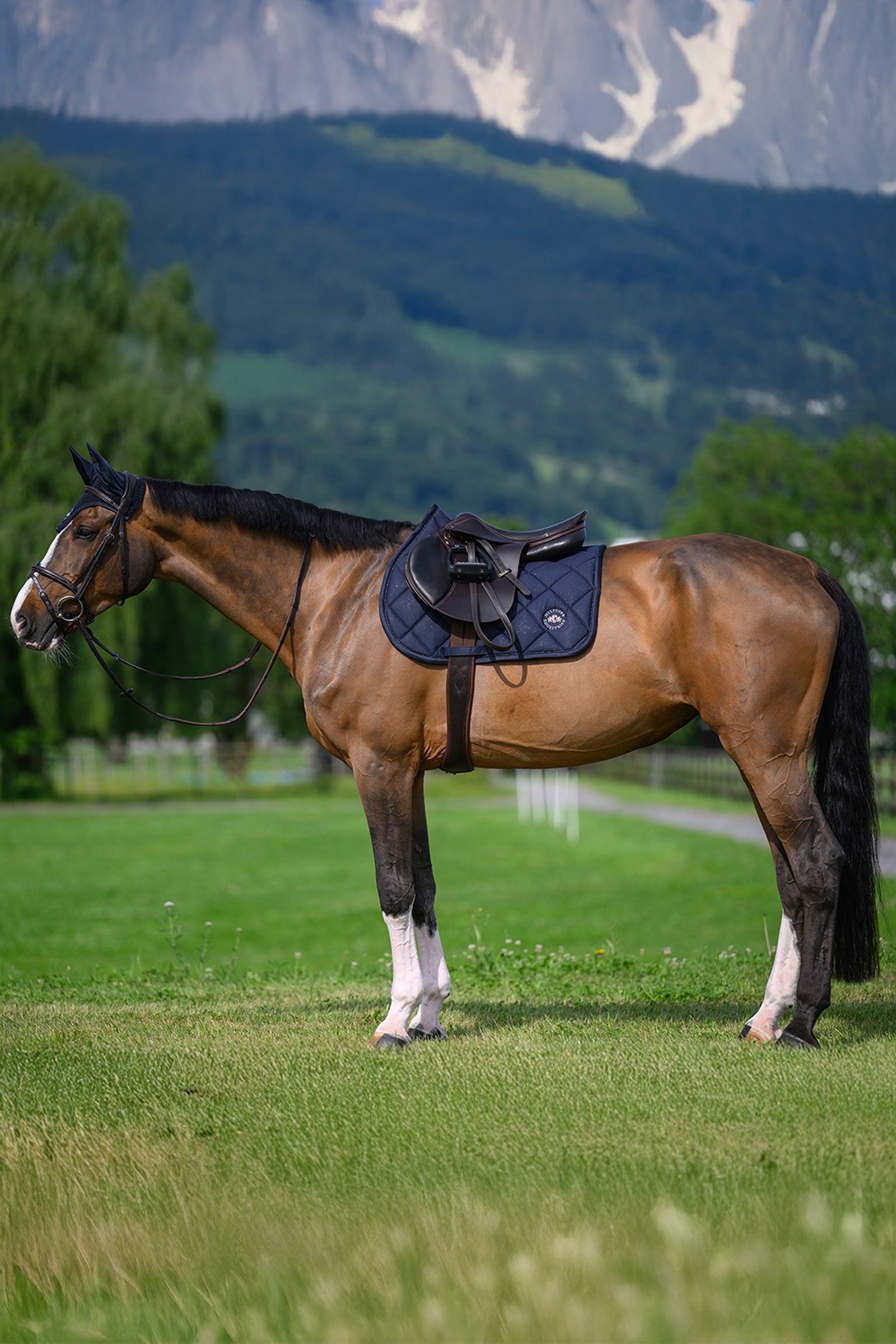 Tommy Hilfiger Equestrian Emory Jumping Saddle Pad Saddle Pads