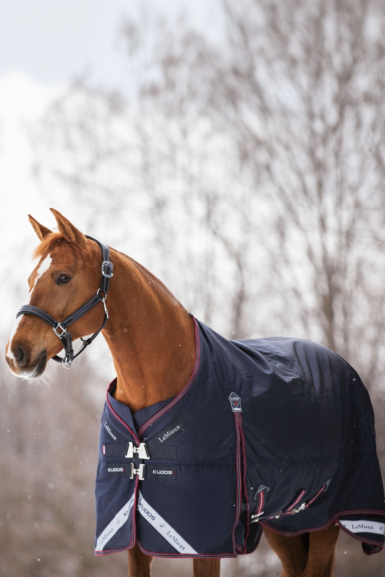 LeMieux Kudos Lightweight Turnout Rug 100g Horse Rugs