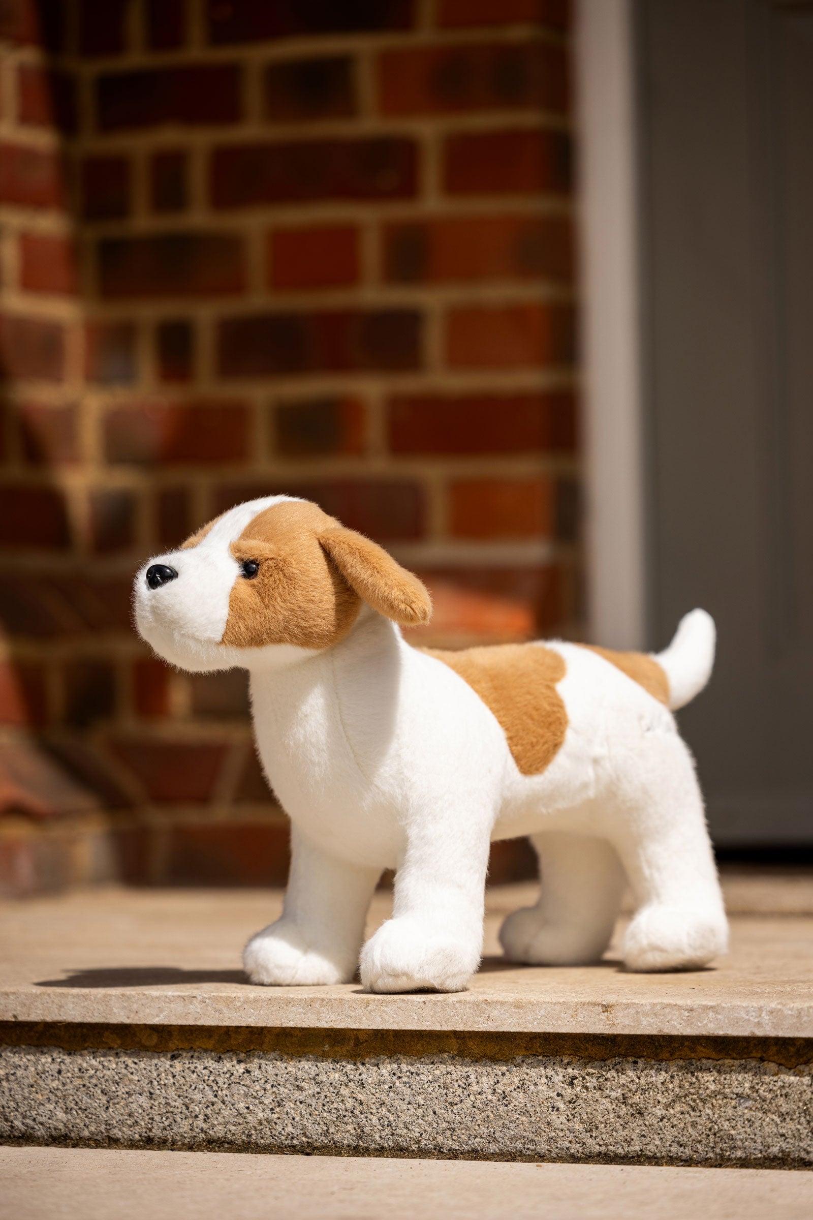 LeMieux Jack Toy Dog Gifts & Toys