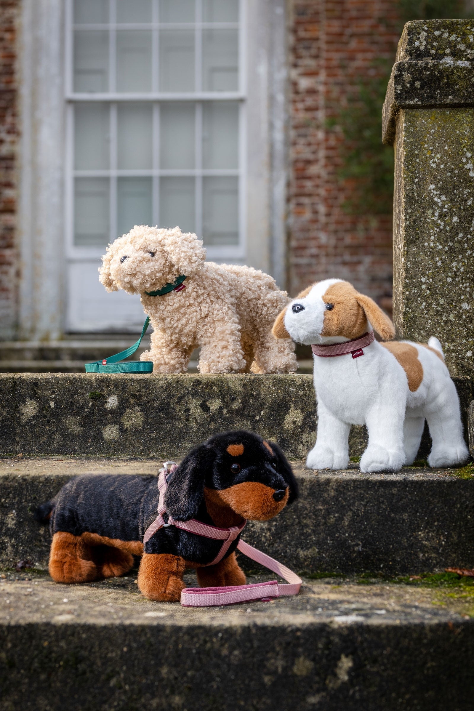 LeMieux Jack Toy Dog Gifts & Toys