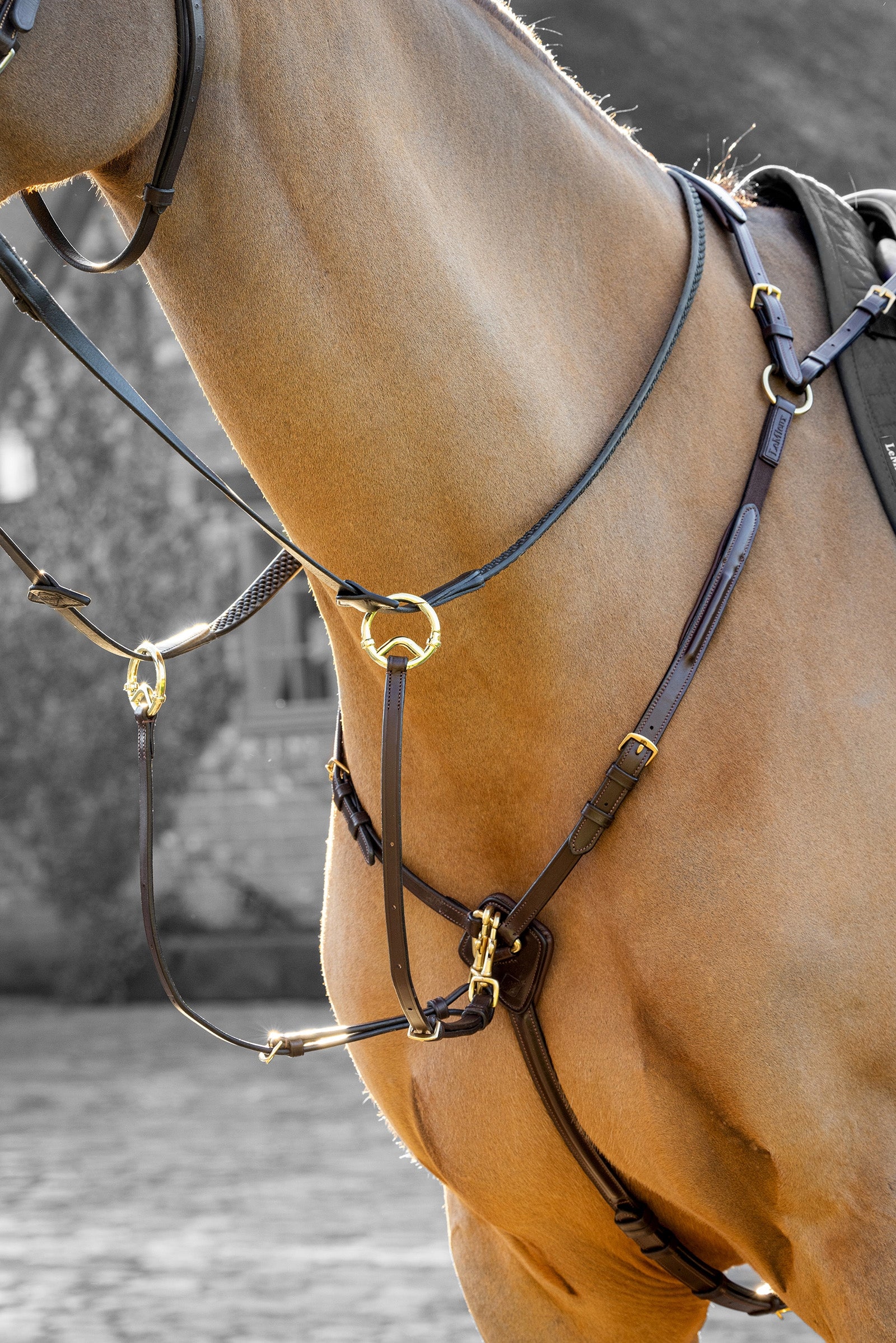LeMieux Breastplate With Detachable Martingale Bridles & Reins