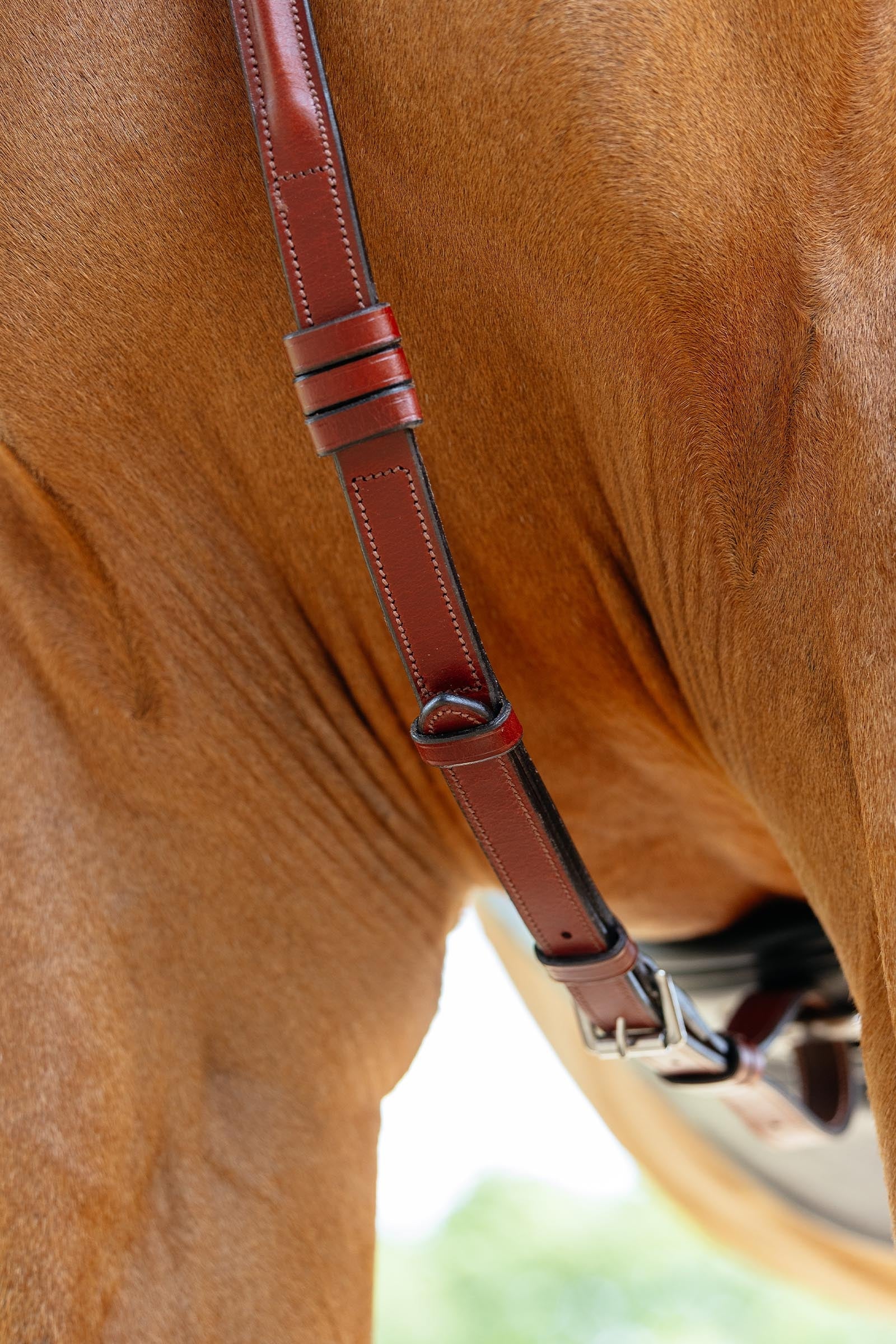 LeMieux Breastplate With Detachable Martingale Bridles & Reins