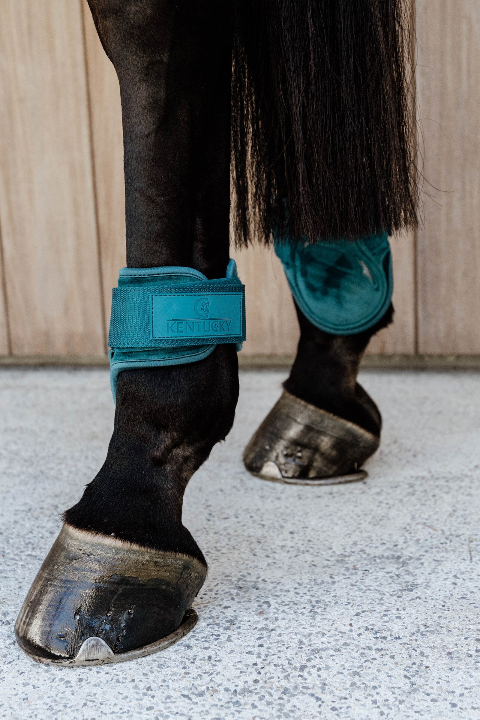 Kentucky Horsewear Velvet Young Horse Fetlock Boots Leg Protection & Hoof Protection for Horses