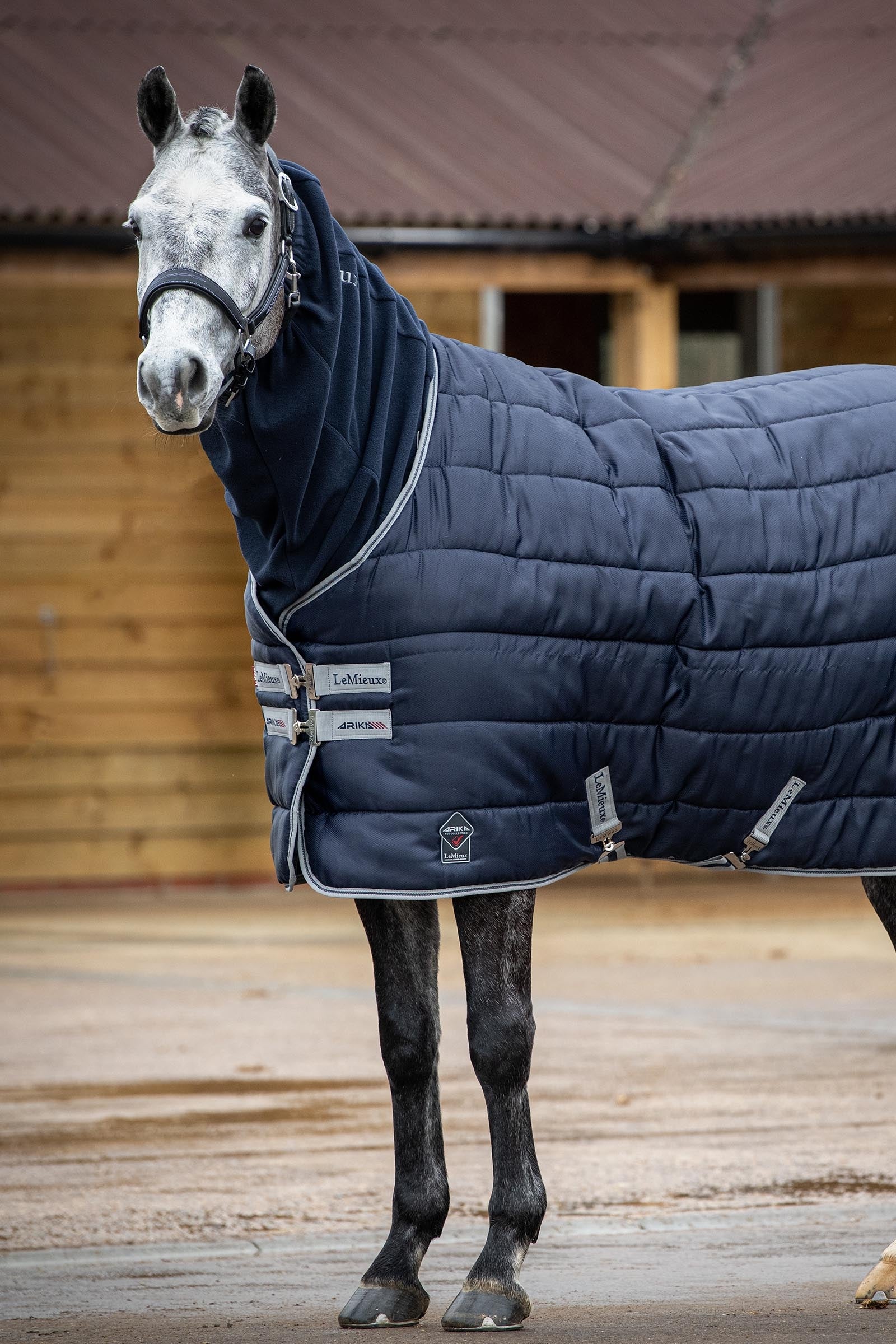 LeMieux Arika Fleece Hood Horse Rugs