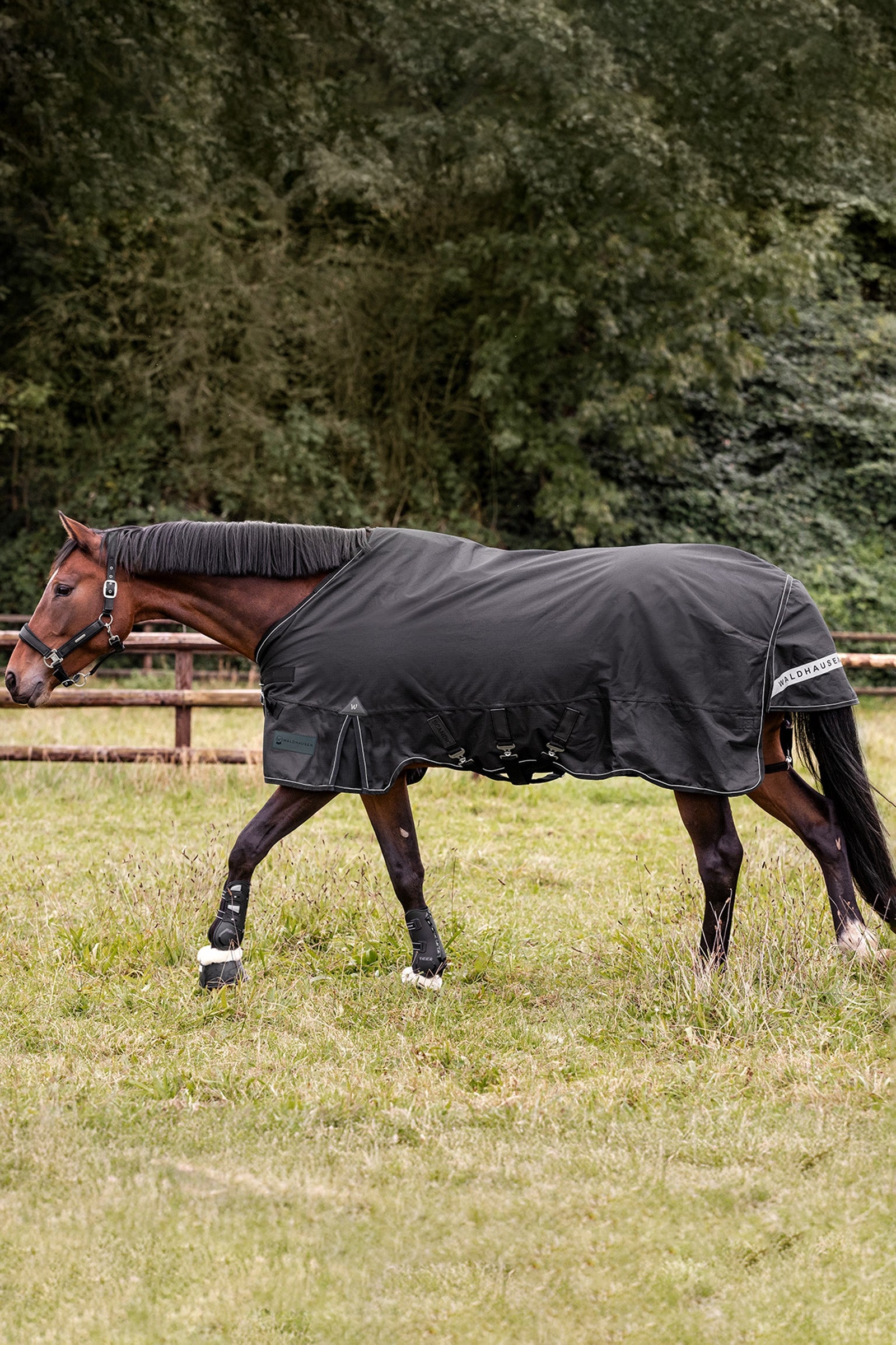 Waldhausen Outdoor Rug Scandic 100g Horse Rugs