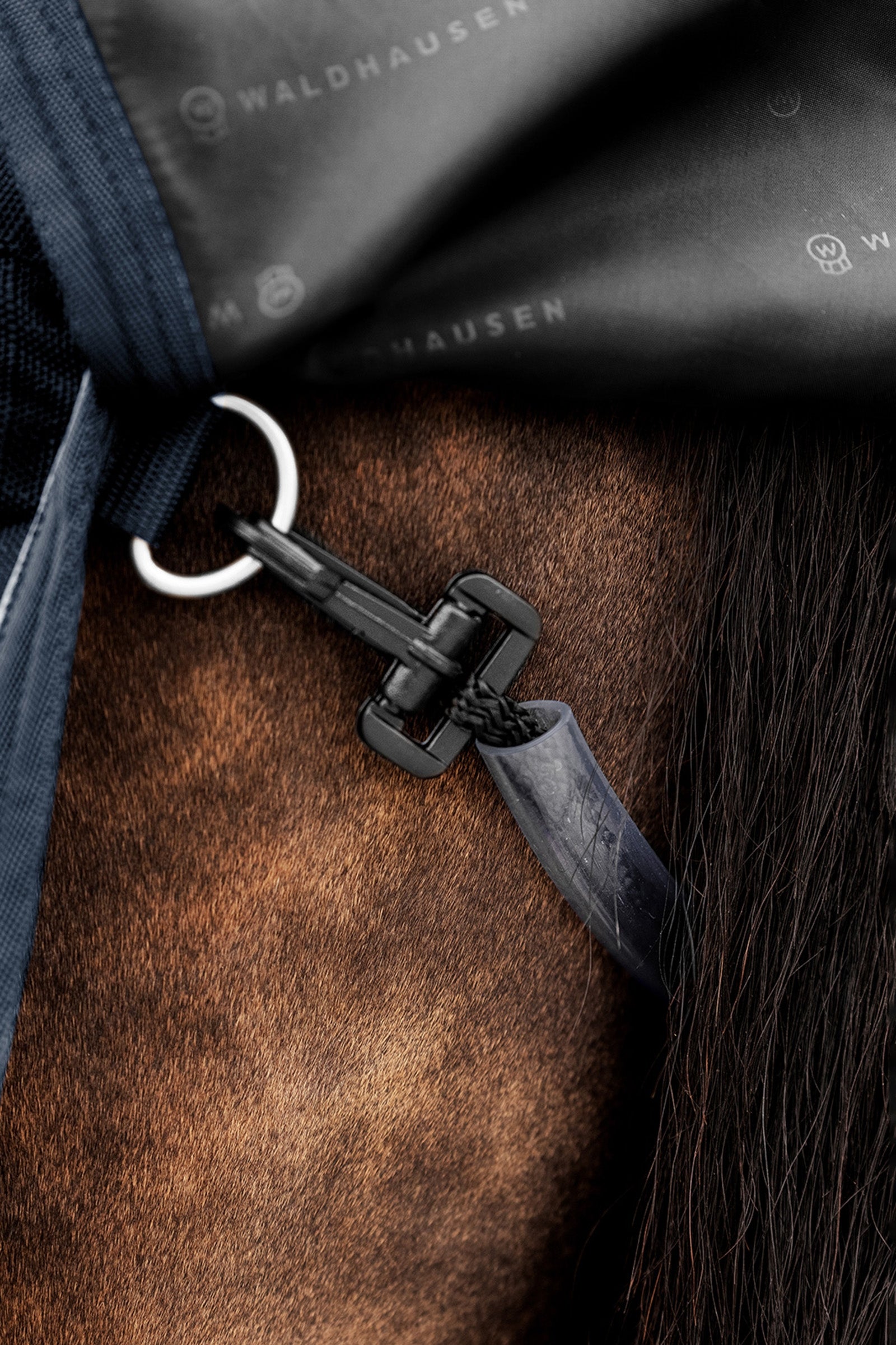 Waldhausen Outdoor Rug Scandic 100g Horse Rugs