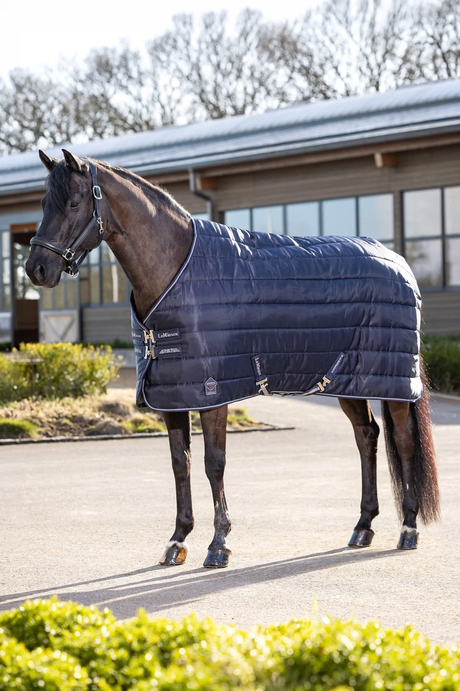 LeMieux Arika Stable-Tek Stable Rug, 350 g Hästtäcken
