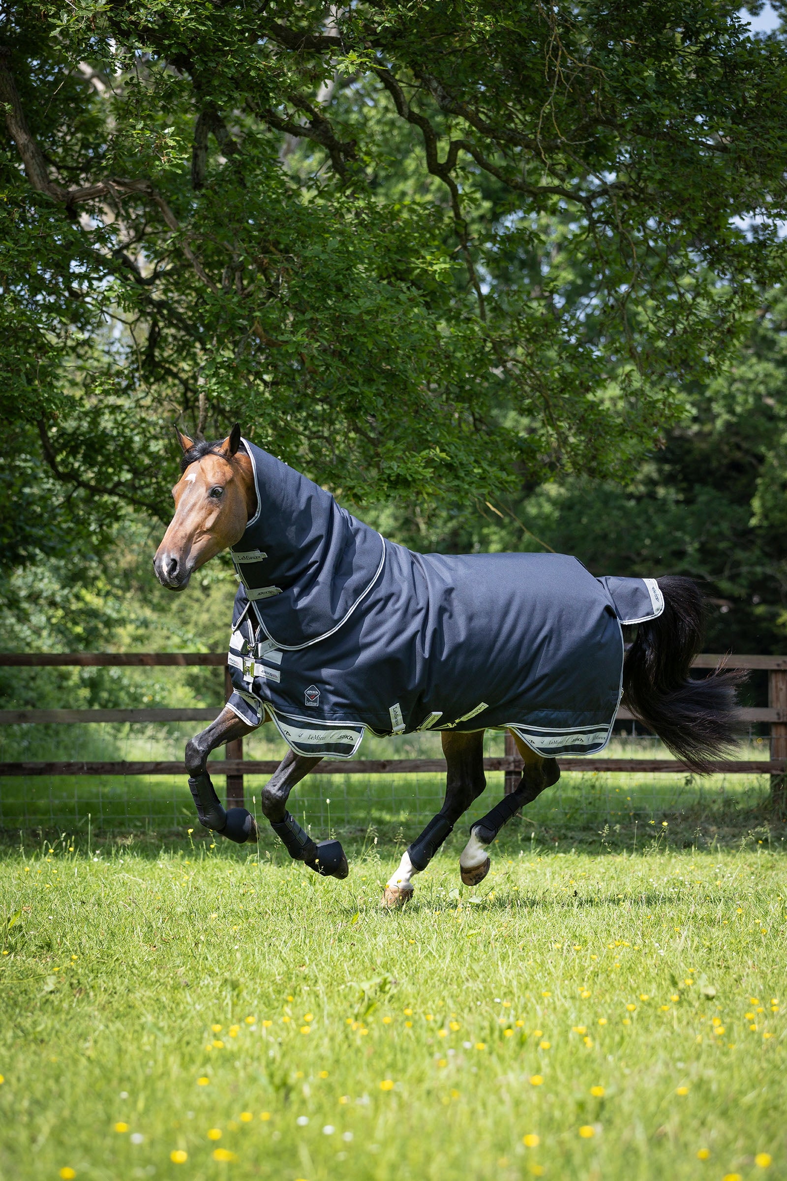 LeMieux Arika Storm-Tek 200g Horse Rugs