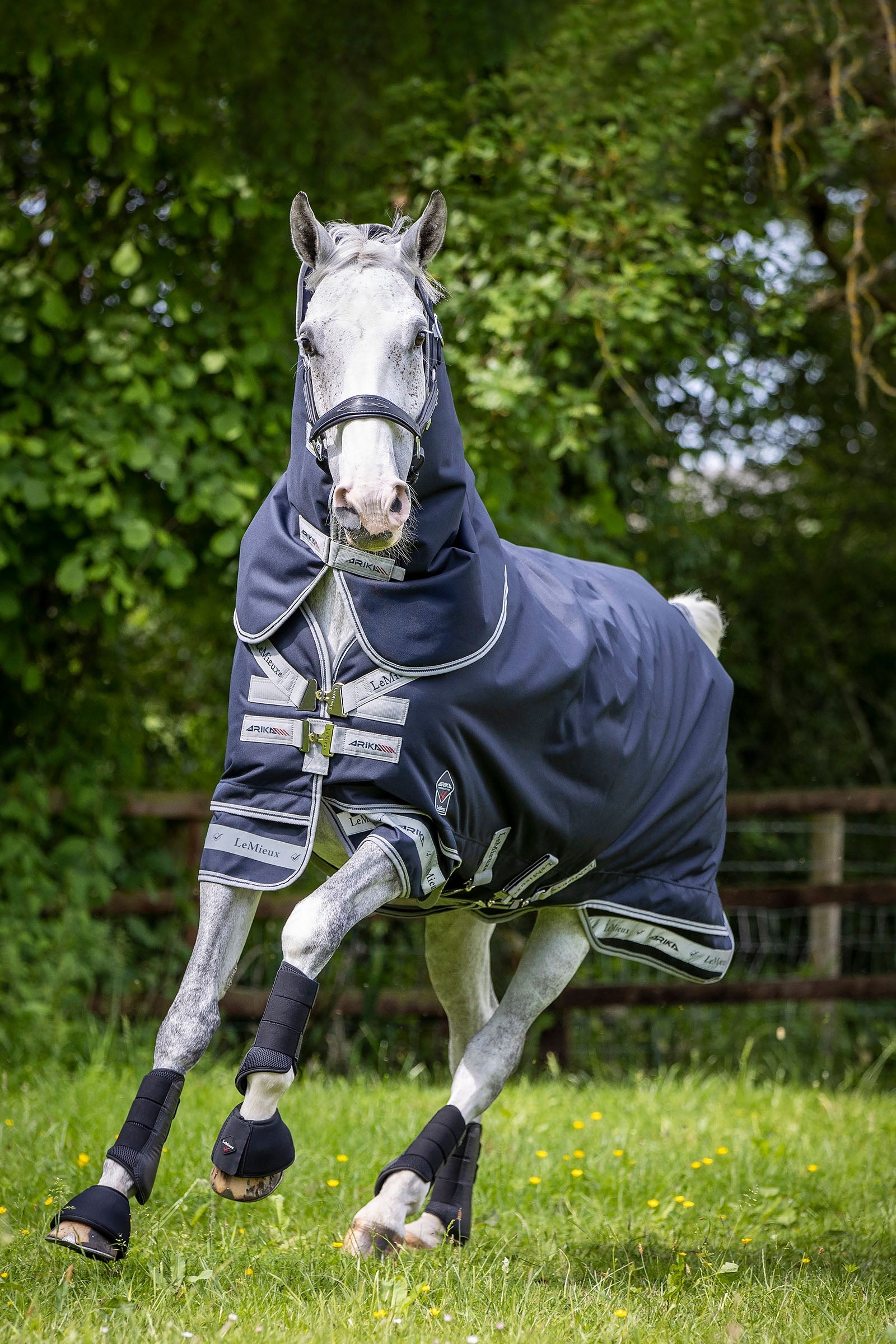 LeMieux Arika Storm-Tek 200g Horse Rugs
