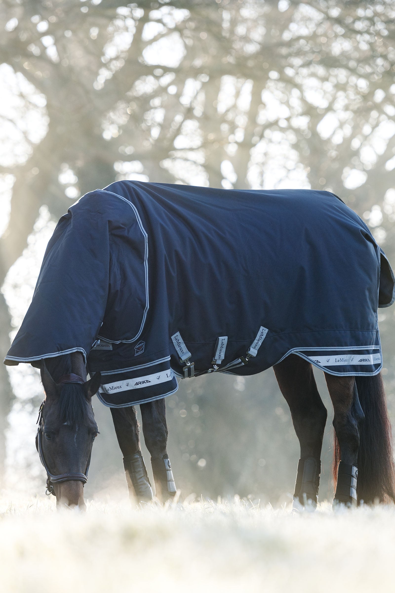 LeMieux Arika Storm-Tek 200g Horse Rugs