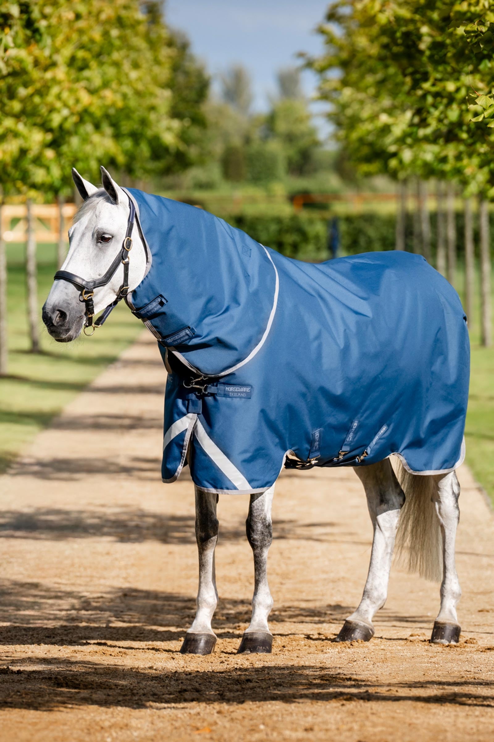 Horseware Ionic Therapy Turnout Rug, 100g Horse Rugs