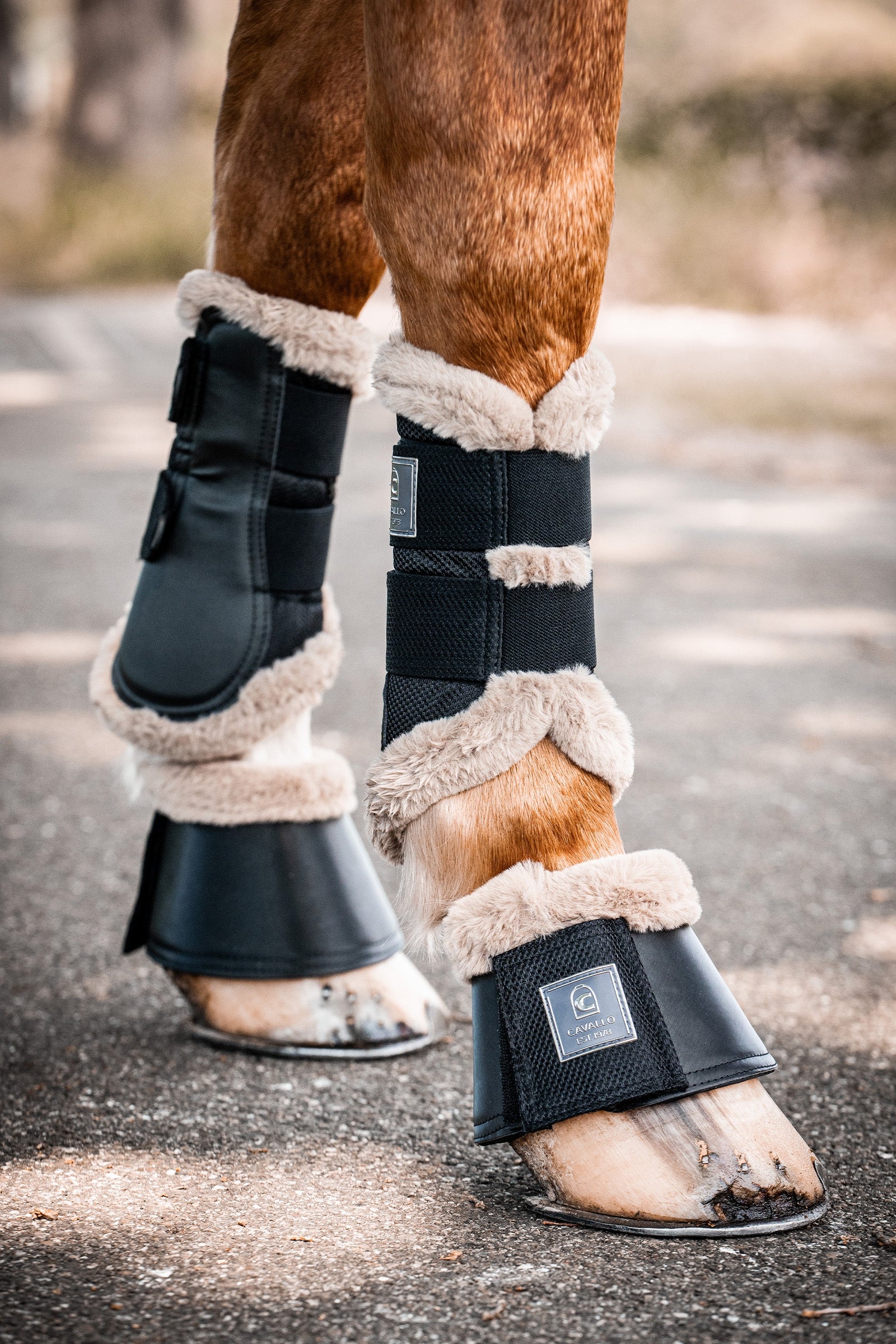 Lifestyle shot 1