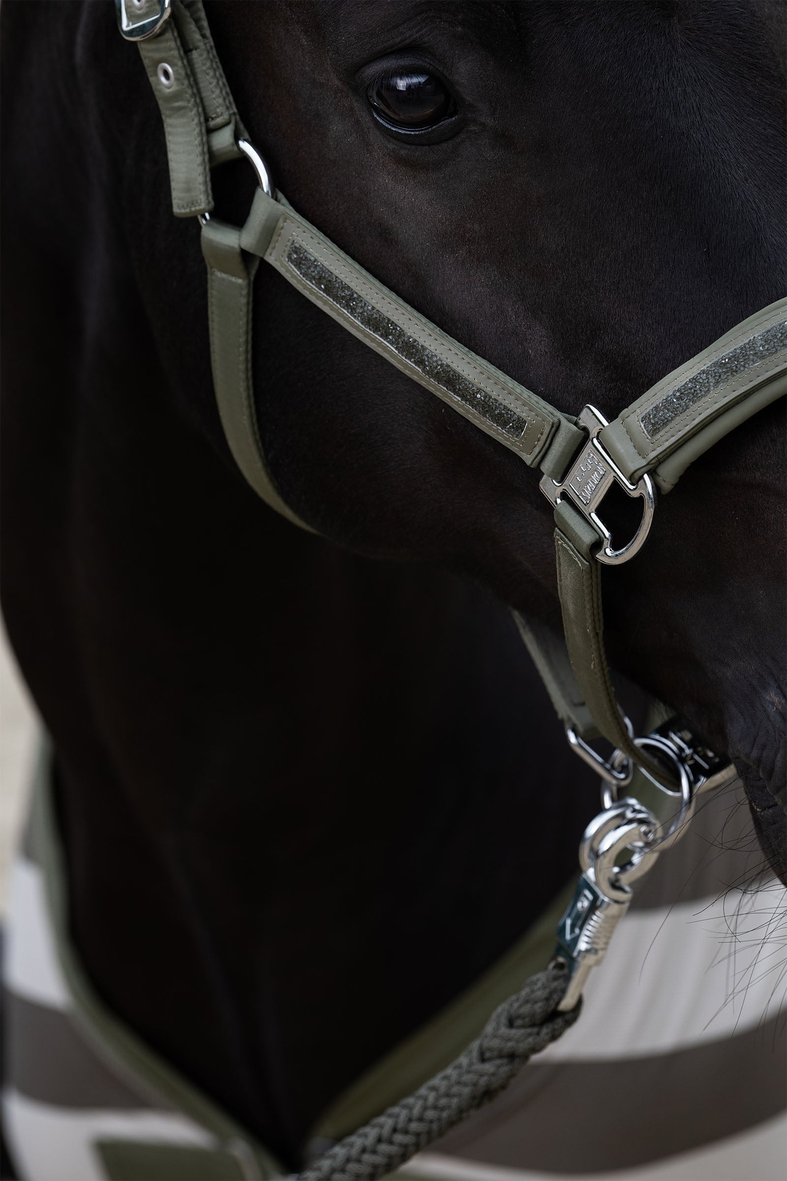 Eskadron Classic Sports SS25 Mattgloss Jewel Double Pin Headcollar Halters & Leads