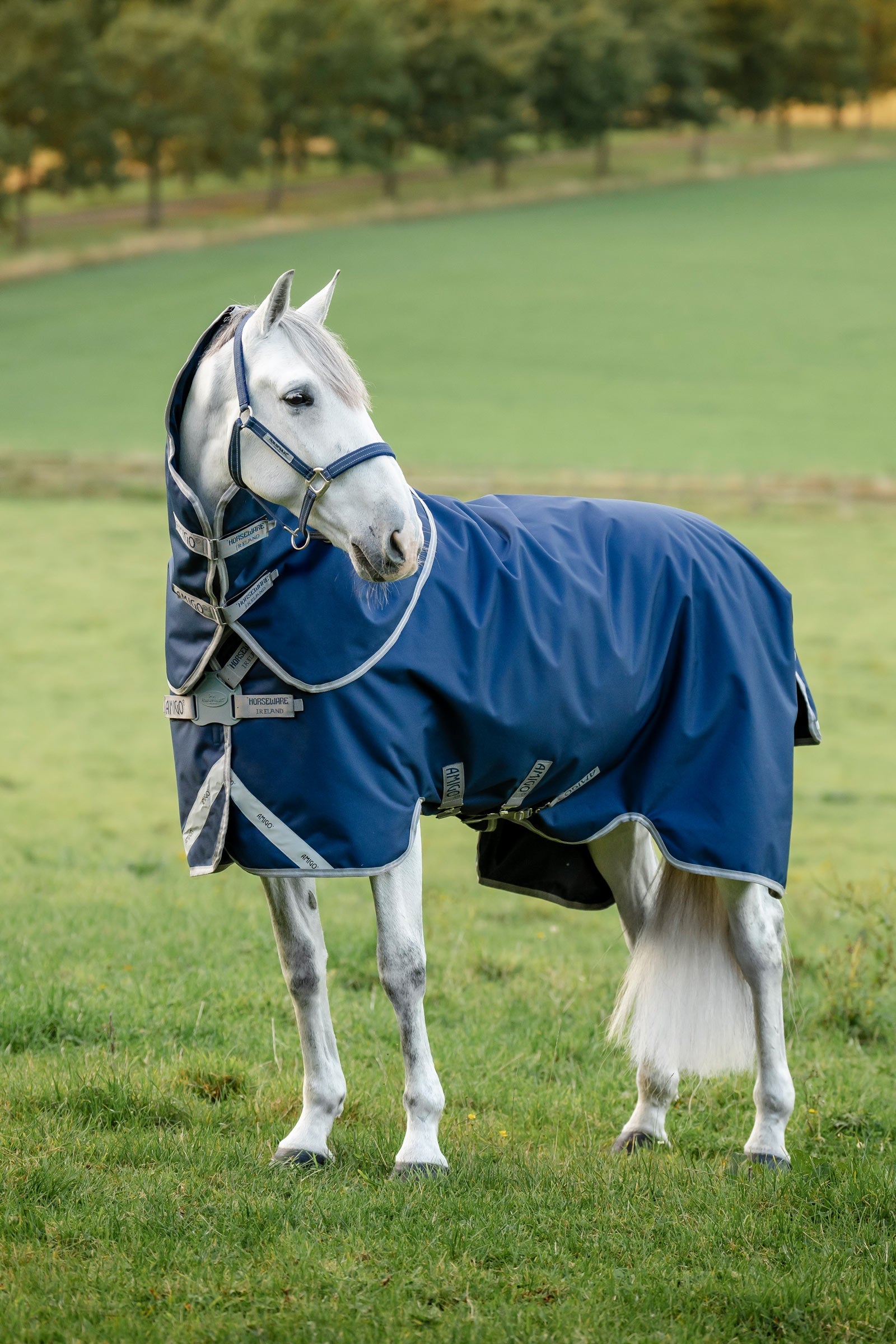 Horseware Amigo 1200D FieldSafe Plus Turnout Rug, 250 g Hästtäcken