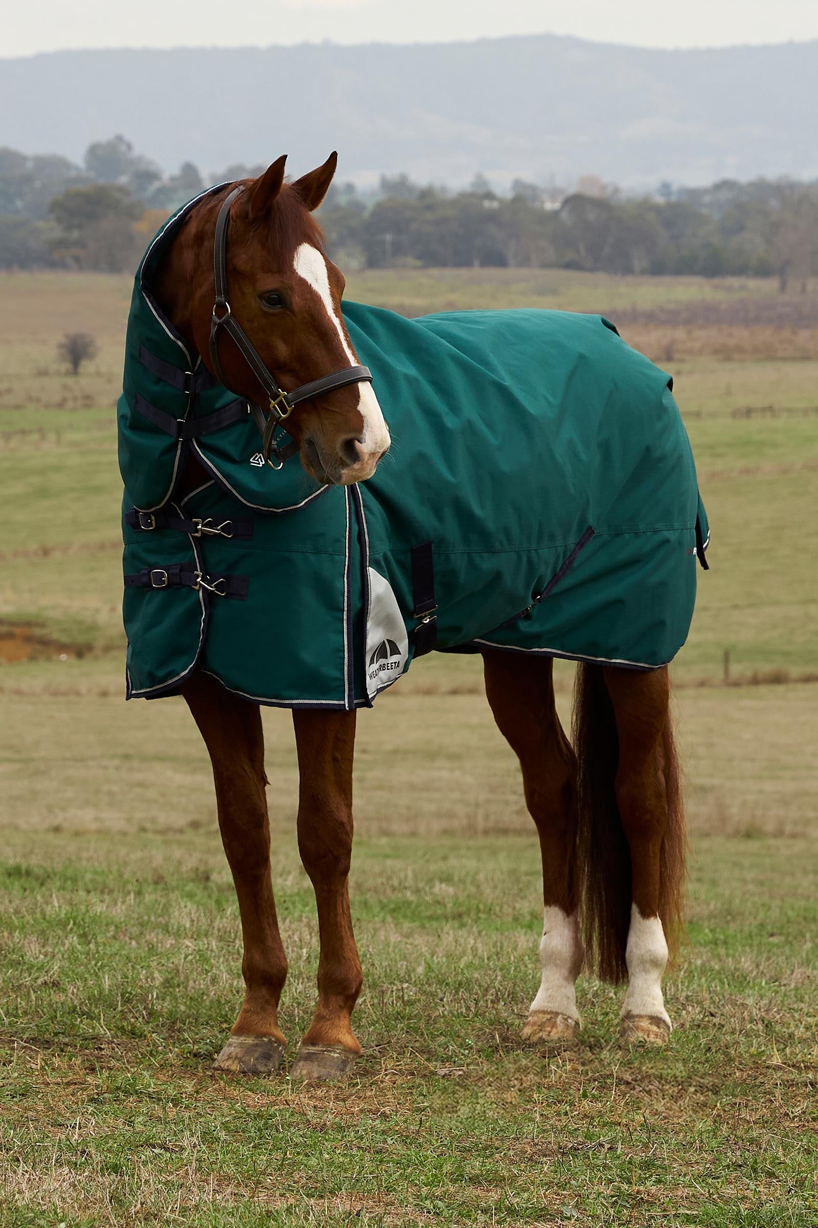 Weatherbeeta Comfitec Plus Dynamic Turnout Detach-a-Neck, 0 g Horse Rugs