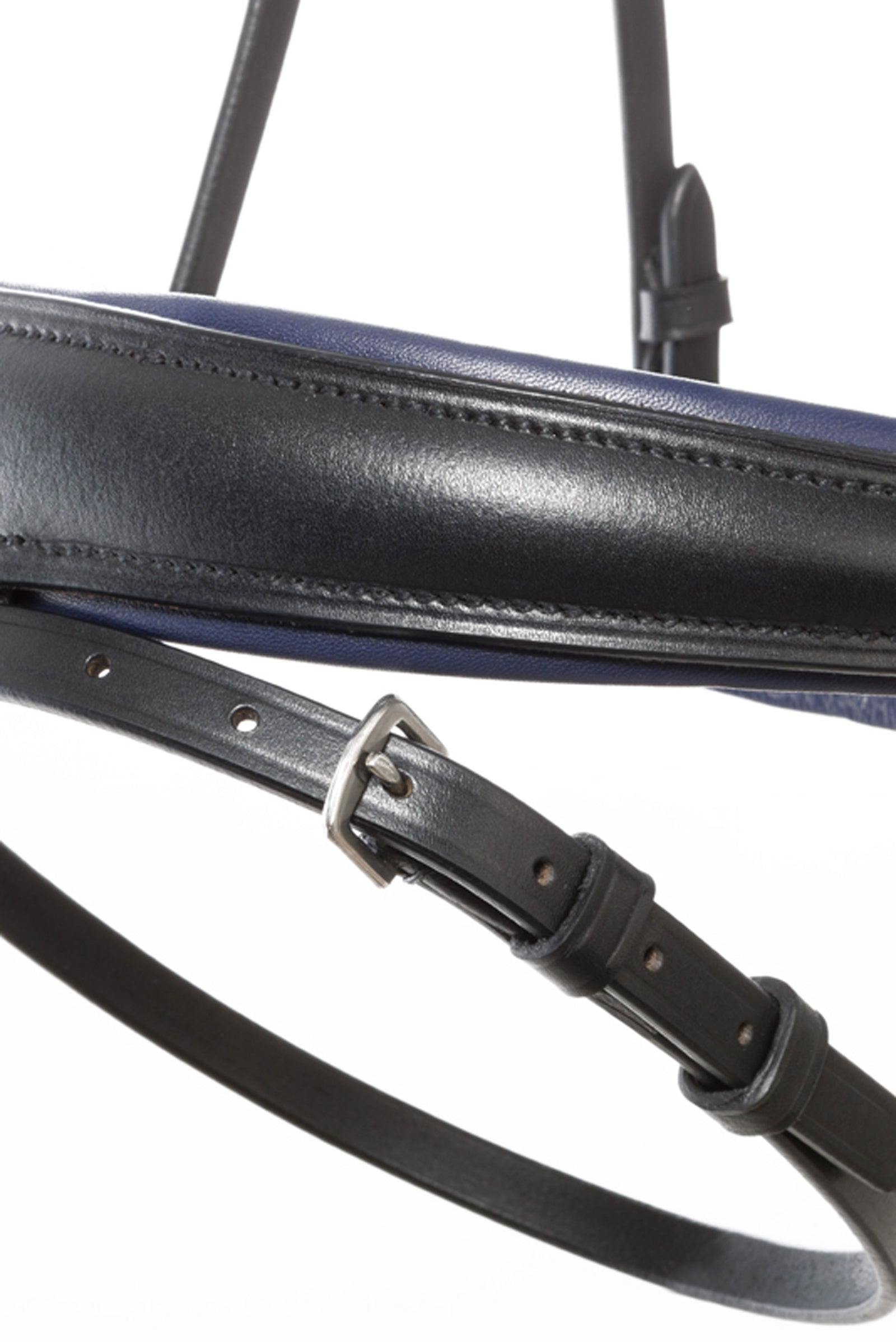 Kavalkade Bridle Ocean crank nb. with flash Bridles & Reins