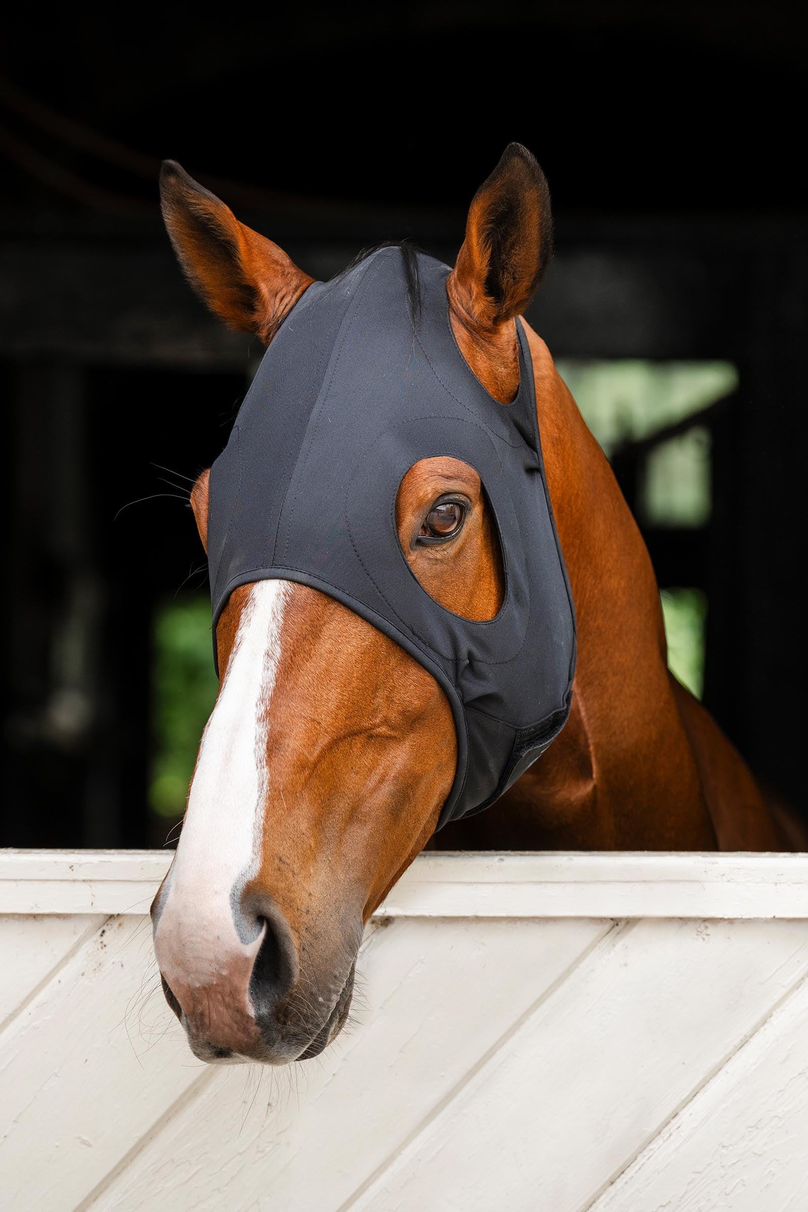 Horseware Ionic lugnande ansiktsmask Flugskydd