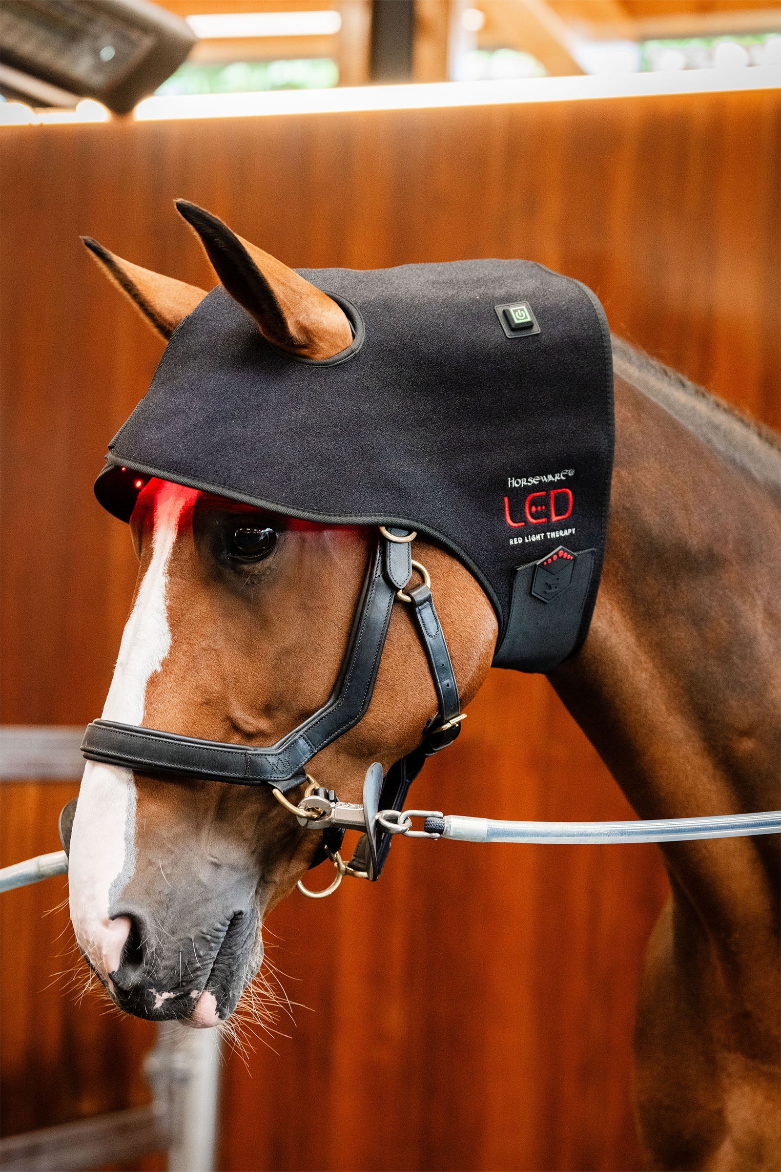 Horseware LED Red Light Therapy Poll Cap Horse Rugs