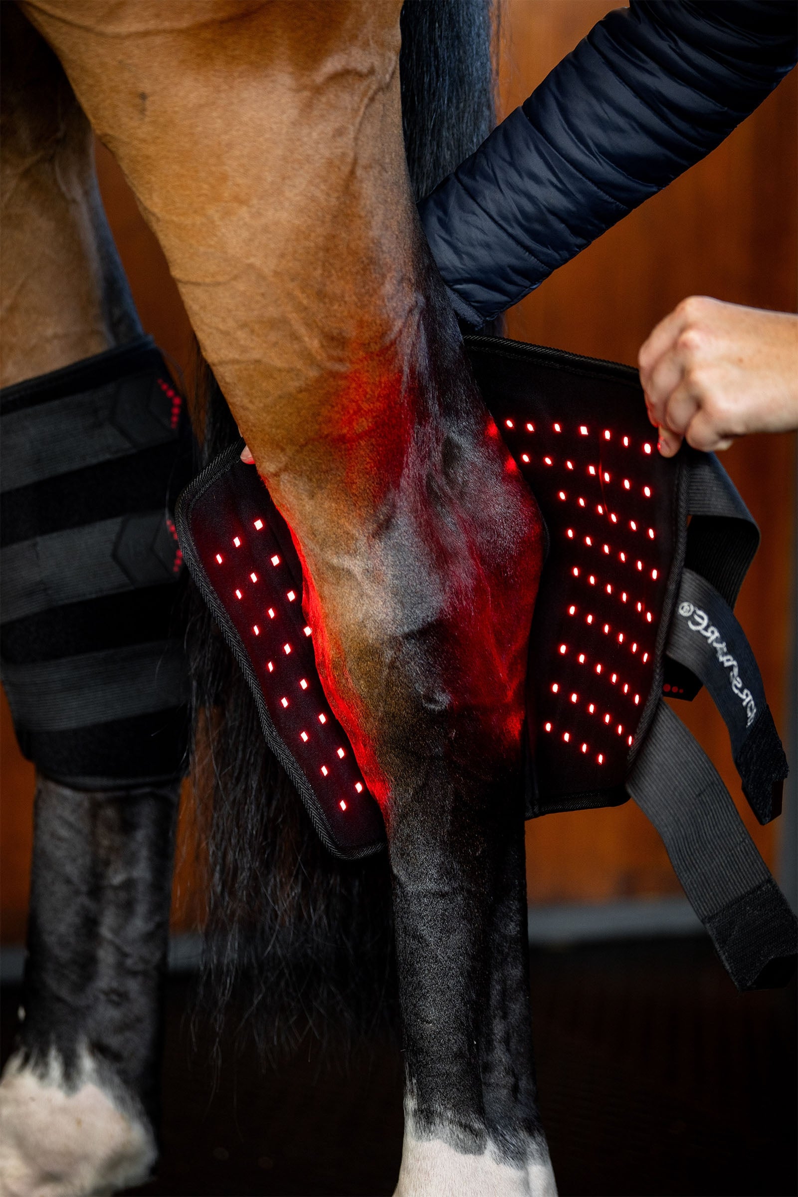 Horseware LED Red Light Therapy Hock Boot (1 pc.) Leg Protection & Hoof Protection for Horses