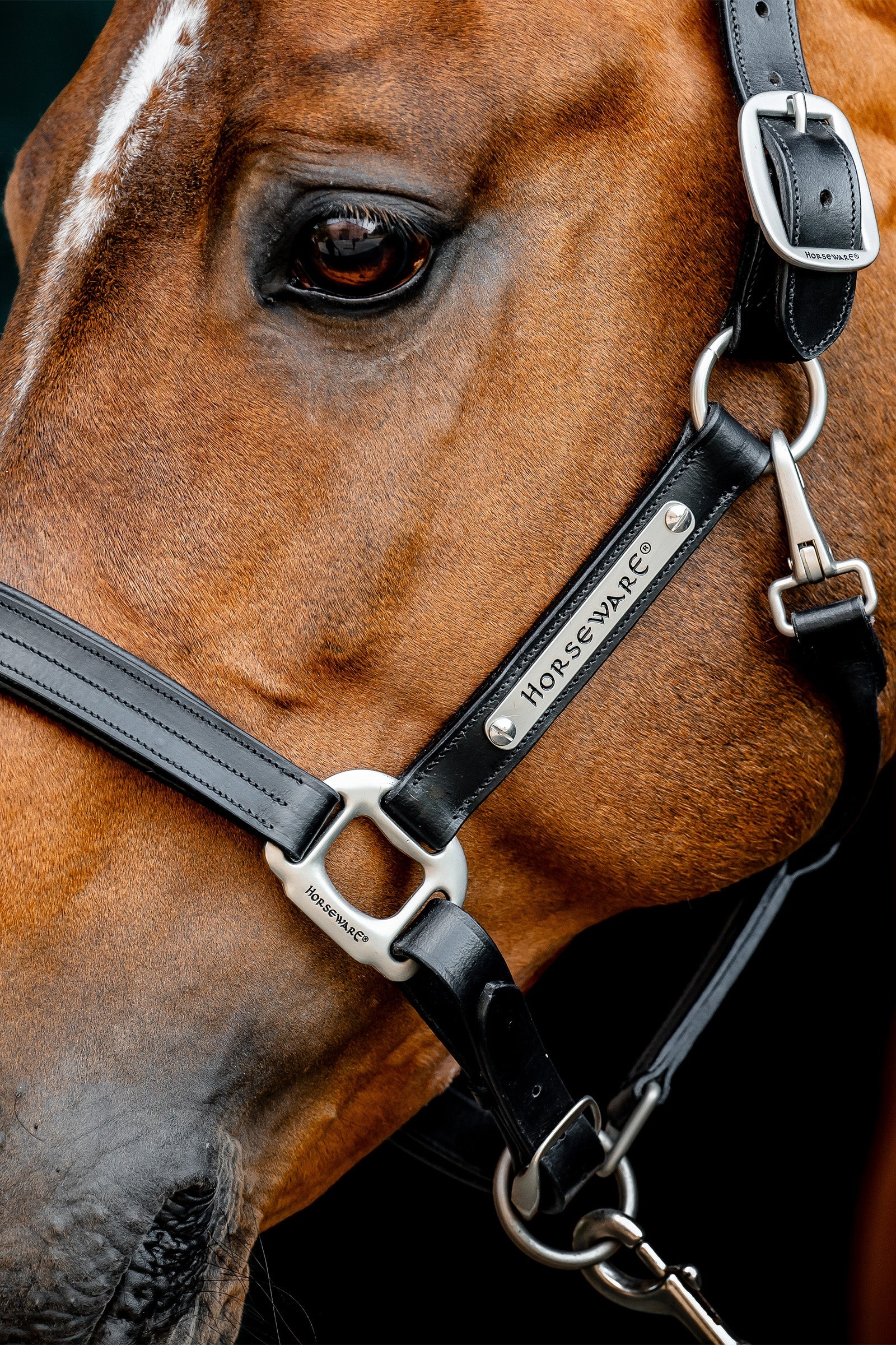 Horseware Signature Leather Headcollar Halters & Leads