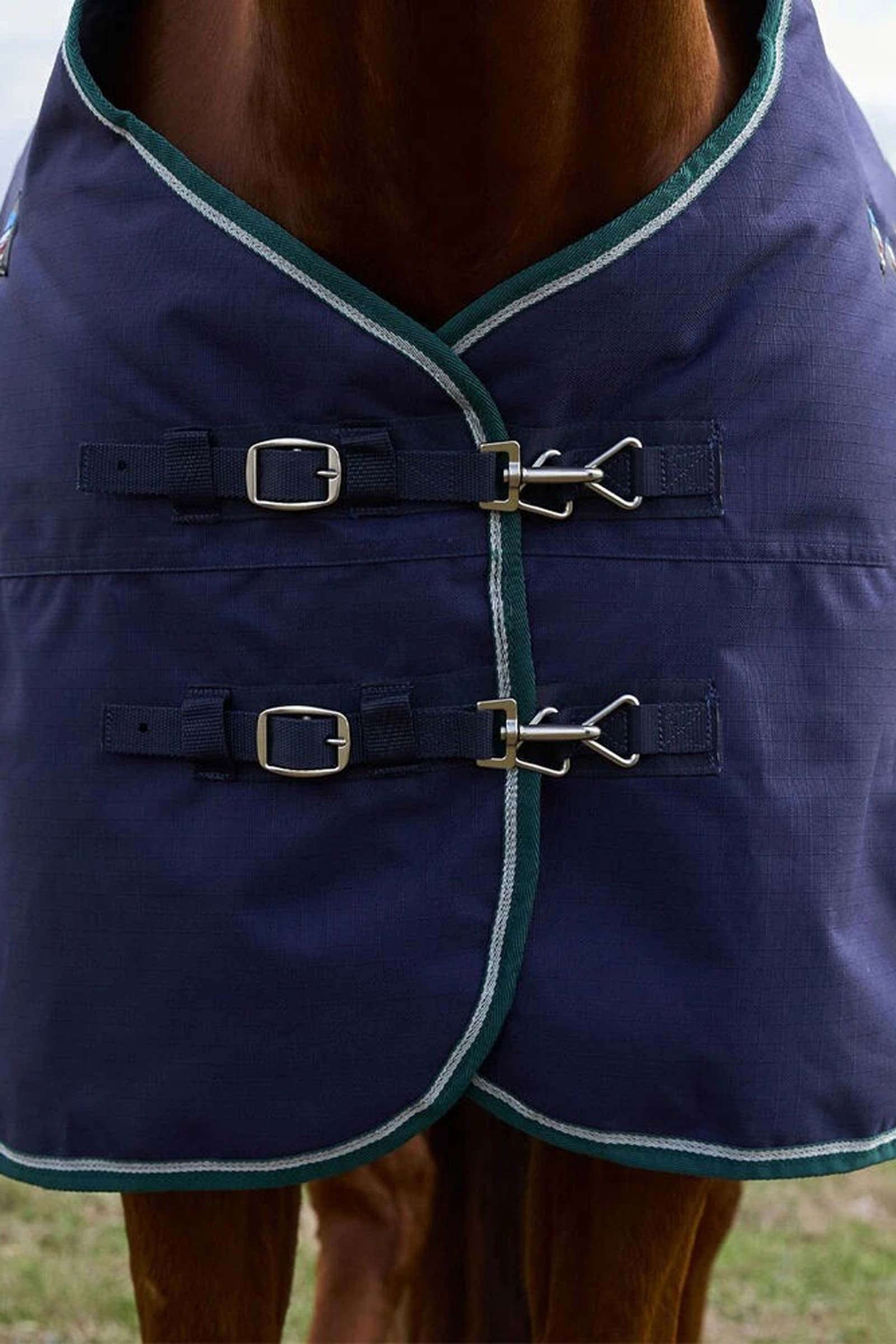 Weatherbeeta ComFiTecPlus Dynamic Turnout Detach-A-Neck 220G Horse Rugs