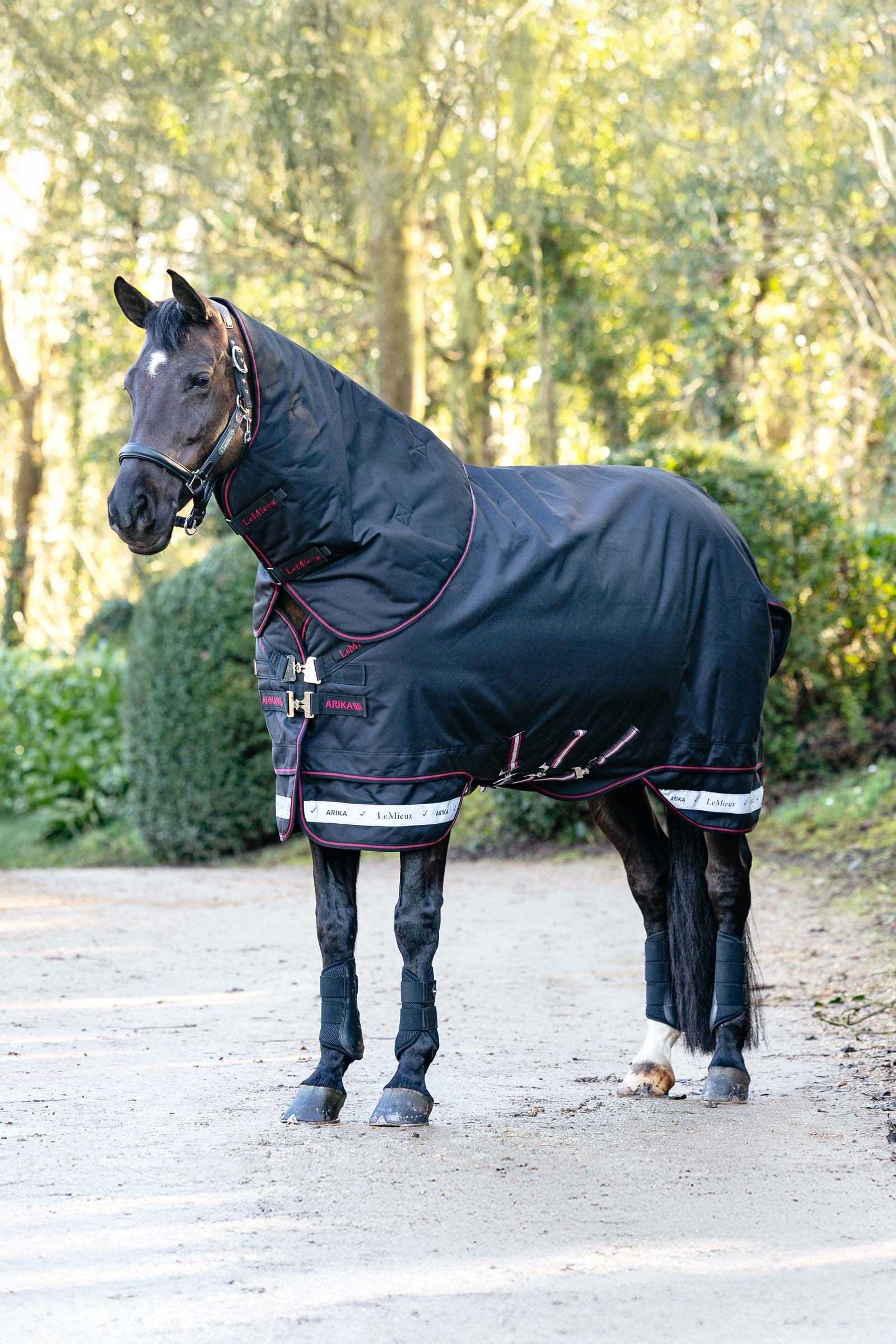 LeMieux Arika Storm-Tek utetäcke med avtagbar halsdel, 200 g Hästtäcken